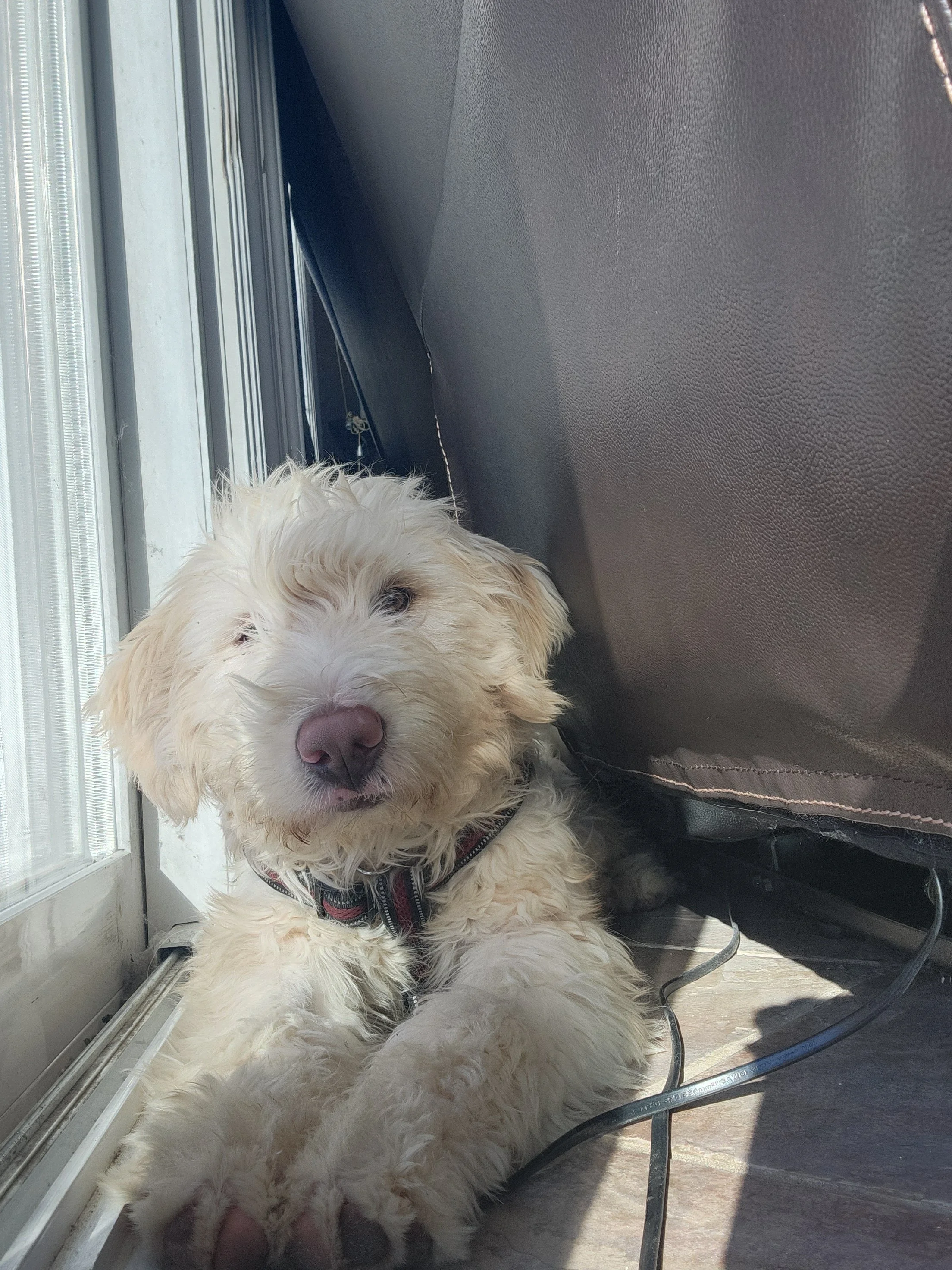 1000031443 - Kerry Bailey.jpg