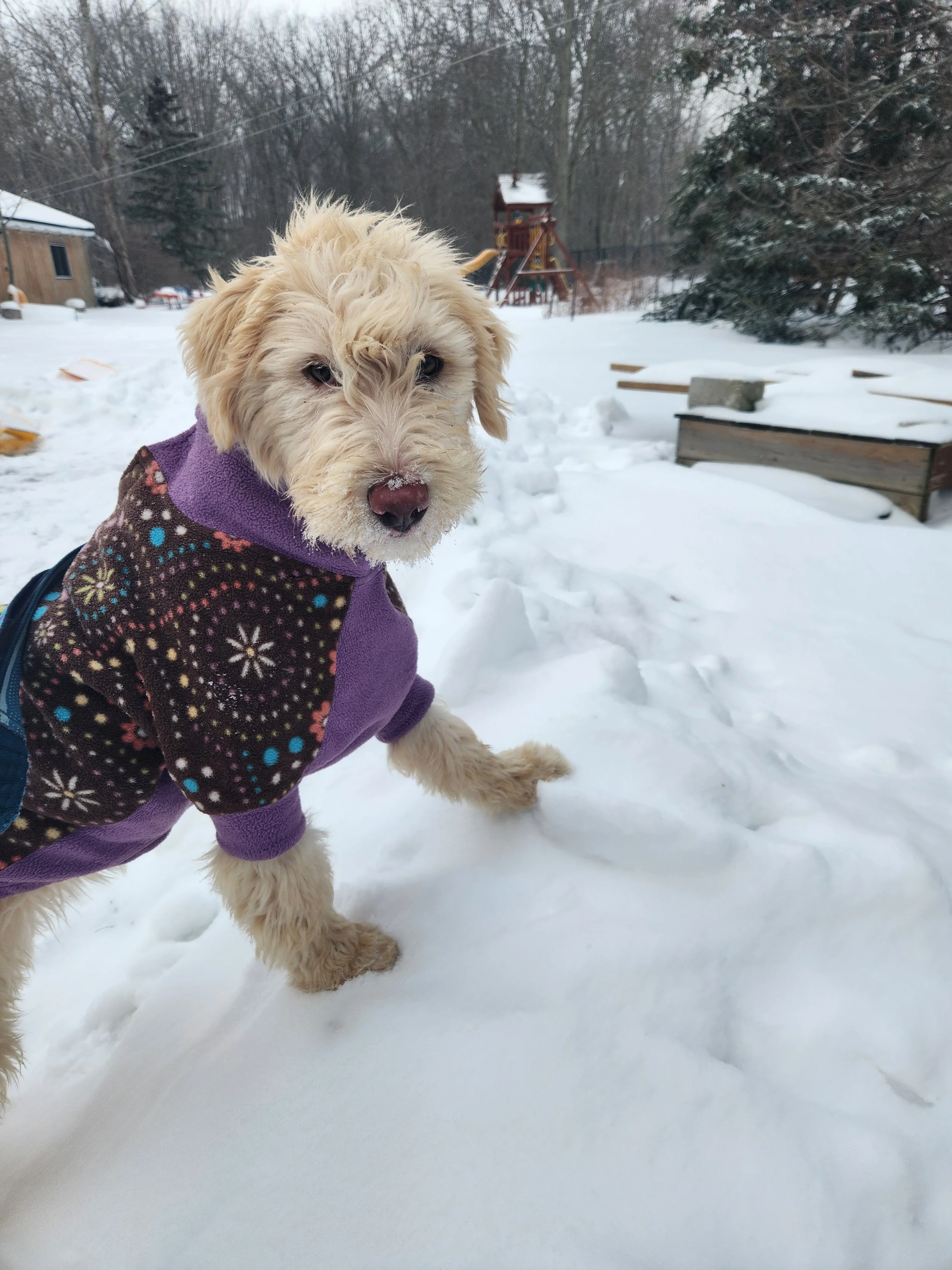 1000031426 - Kerry Bailey.jpg