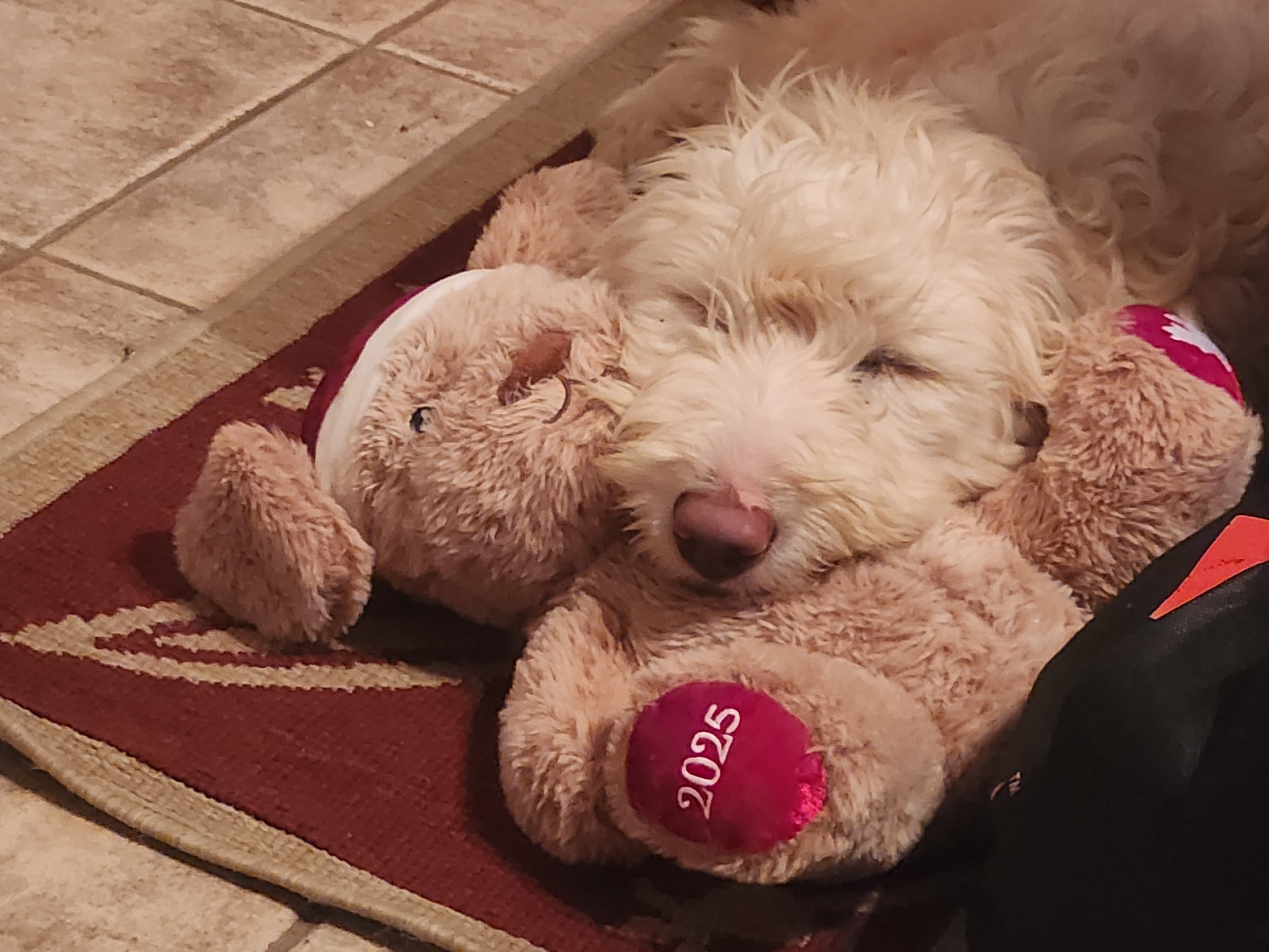 1000031472 - Kerry Bailey.jpg