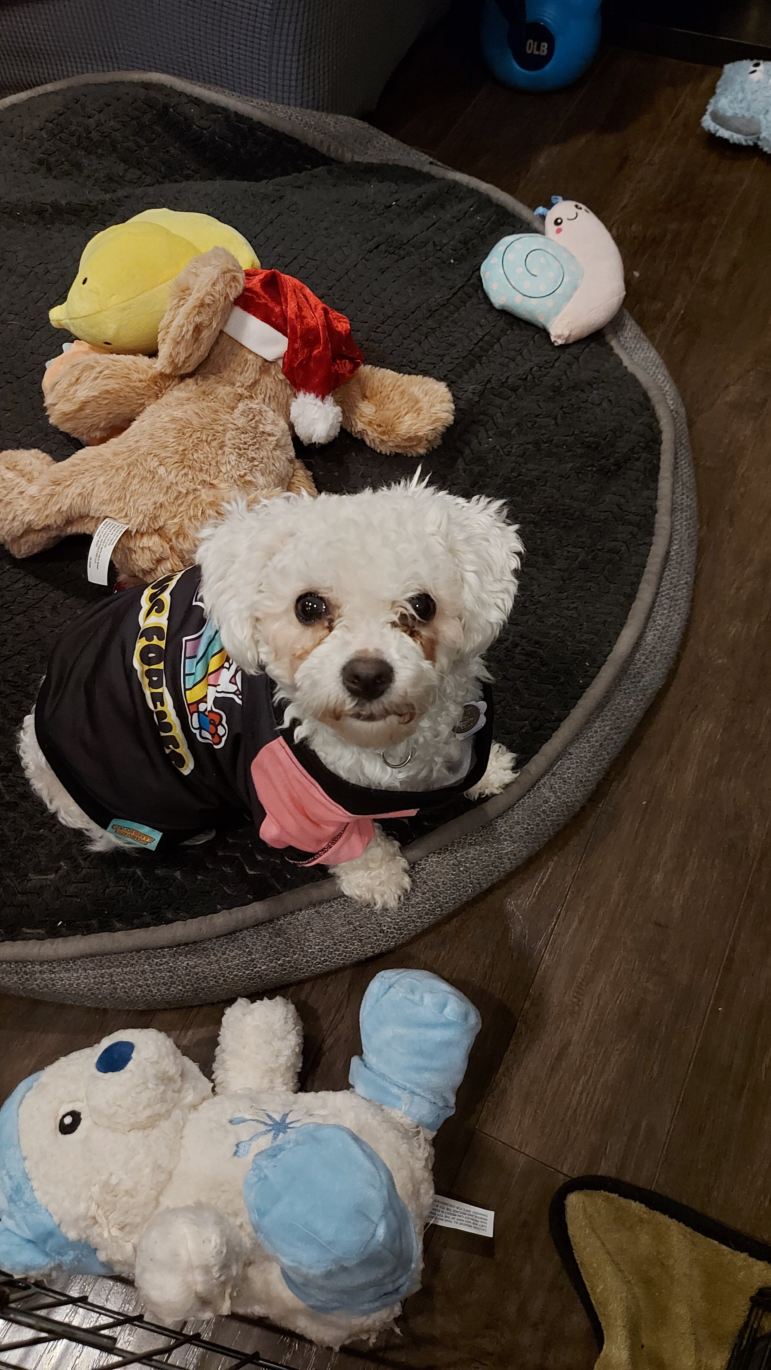 20260213_190027 - Breanne Varao.jpg