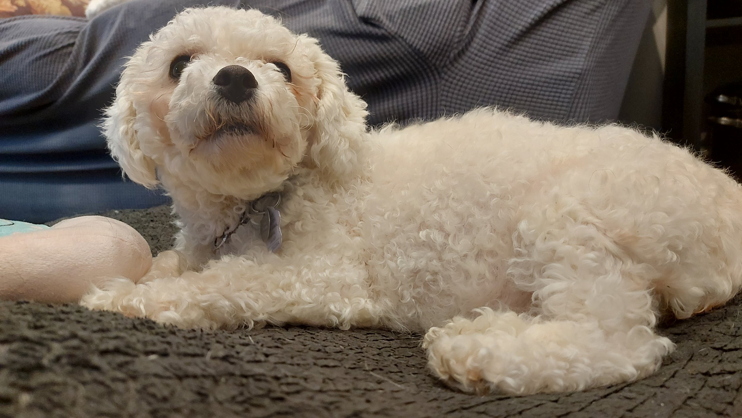 20260220_105220 - Breanne Varao.jpg