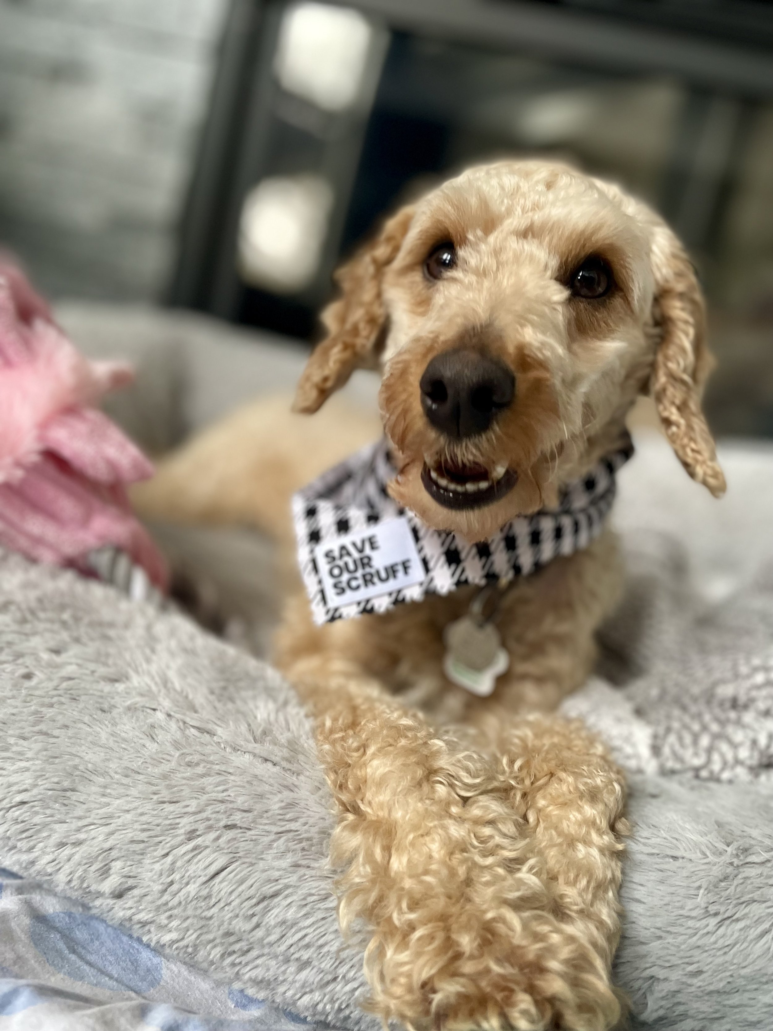 IMG_6264 - Cristina De Almeida.jpeg