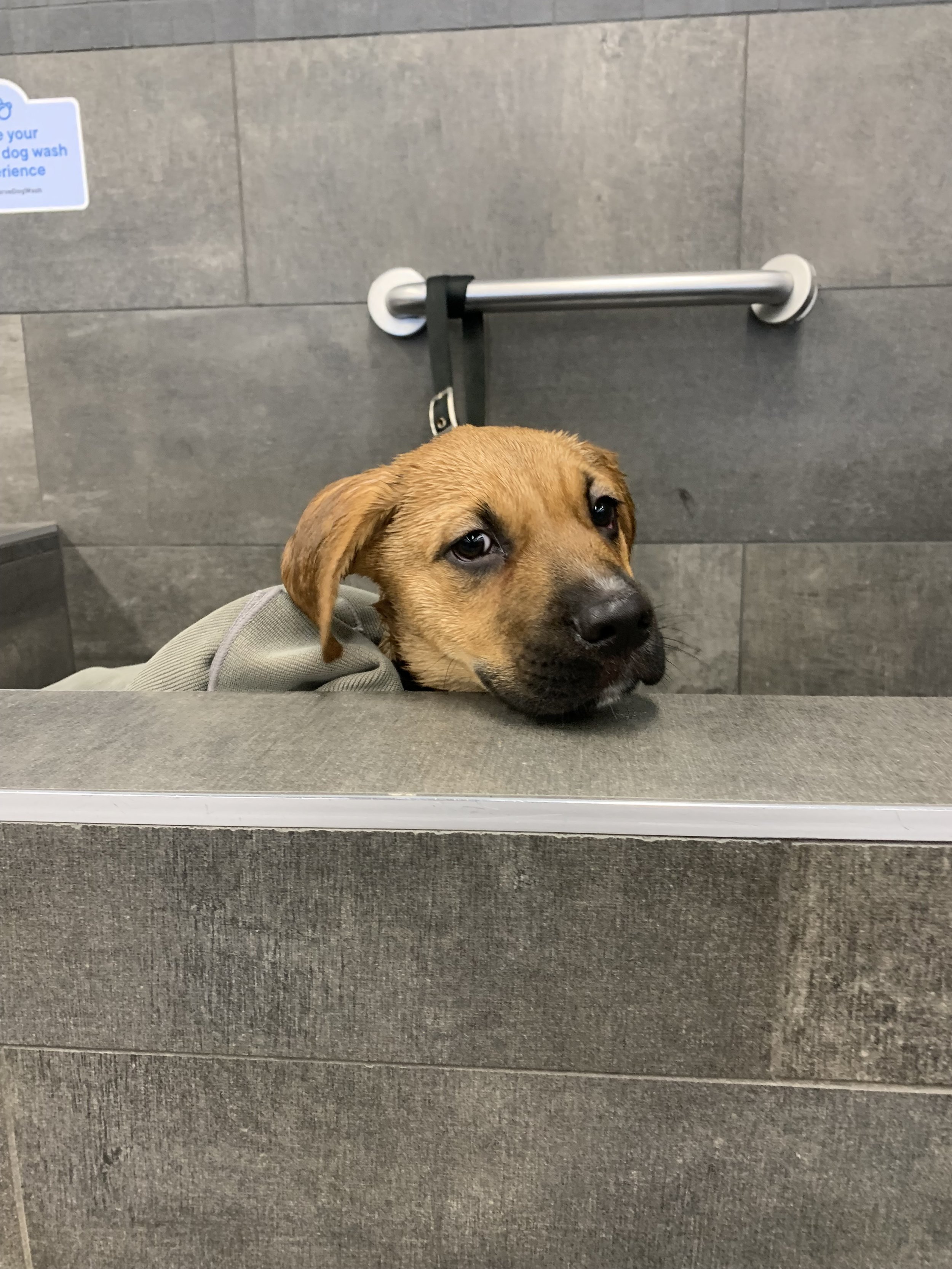 IMG_3082 - Ariadna G.jpeg