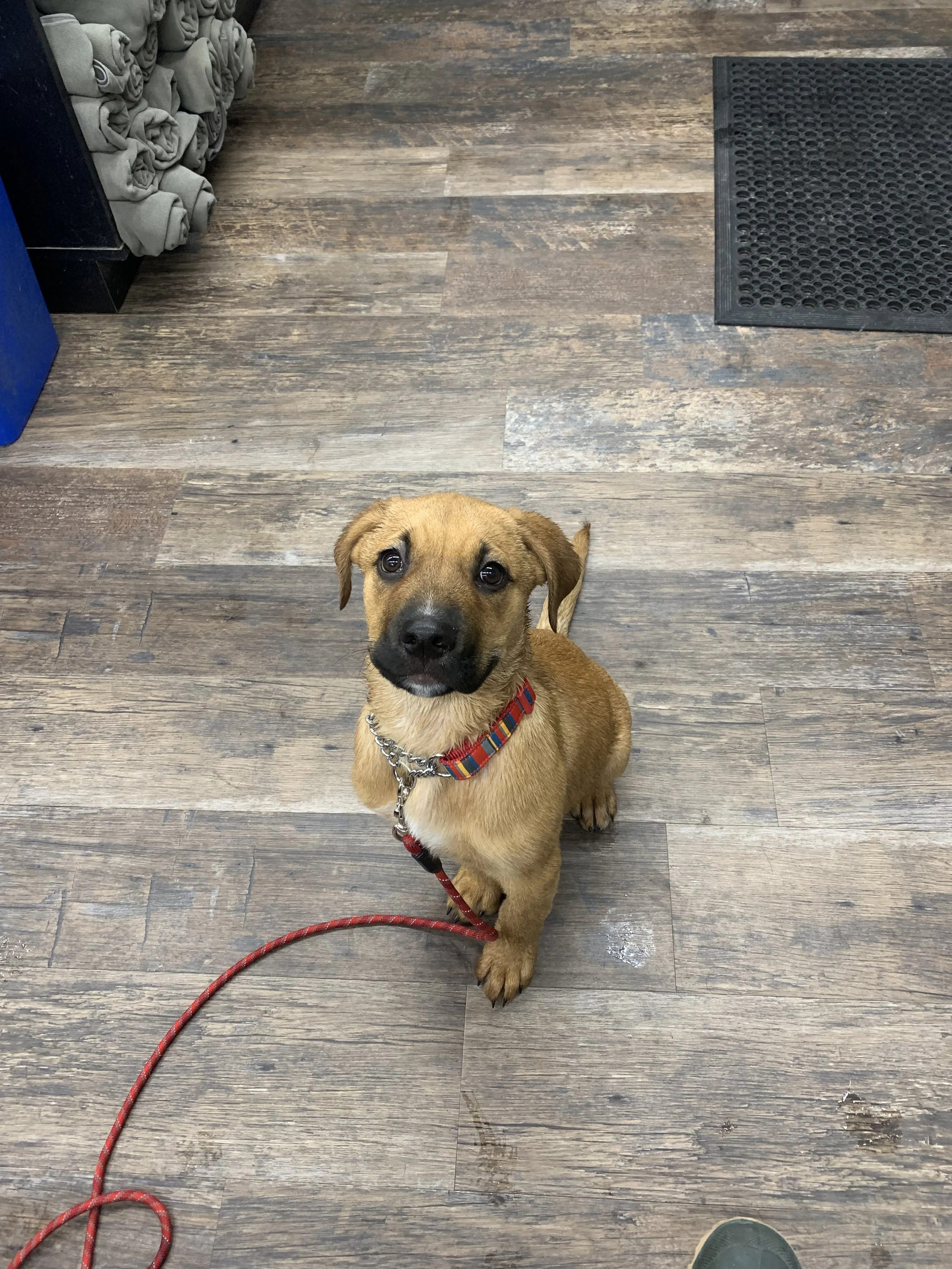 IMG_3086 - Ariadna G.jpeg