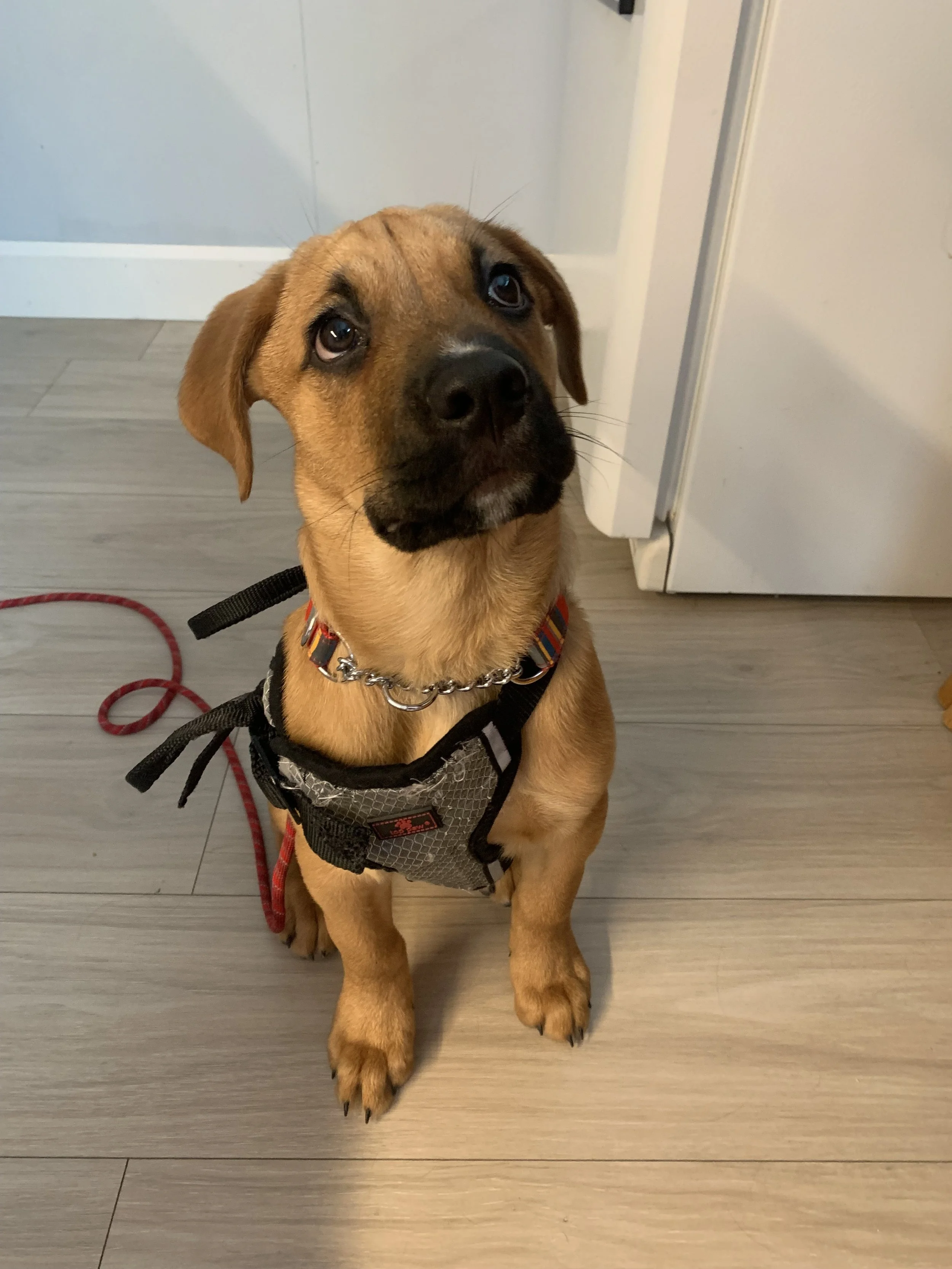 IMG_3118 - Ariadna G.jpeg