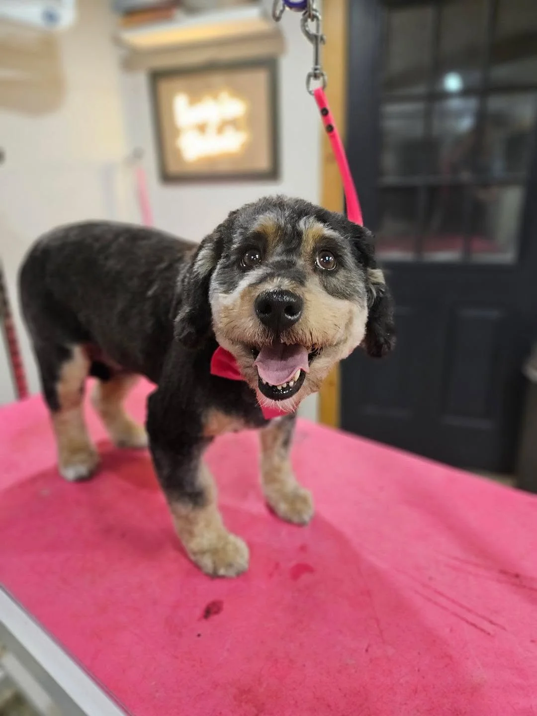 2A84D4A8-C8D0-4A9E-8B52-FB9BCAFC680E - Mary Alice Hanson.JPG