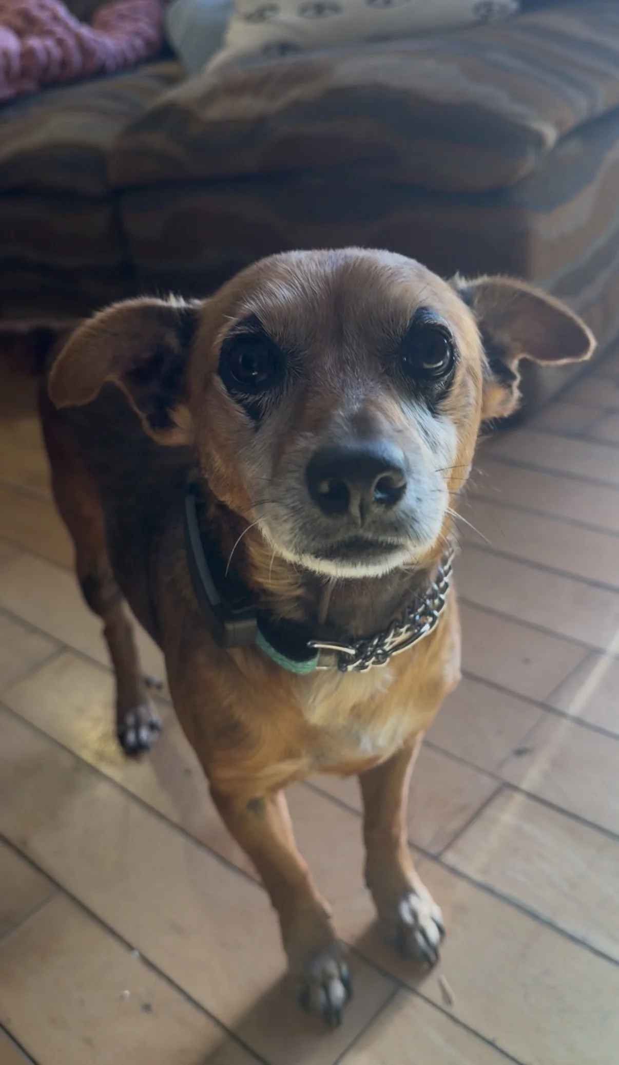 IMG_0137 - Veronica Saye.jpeg