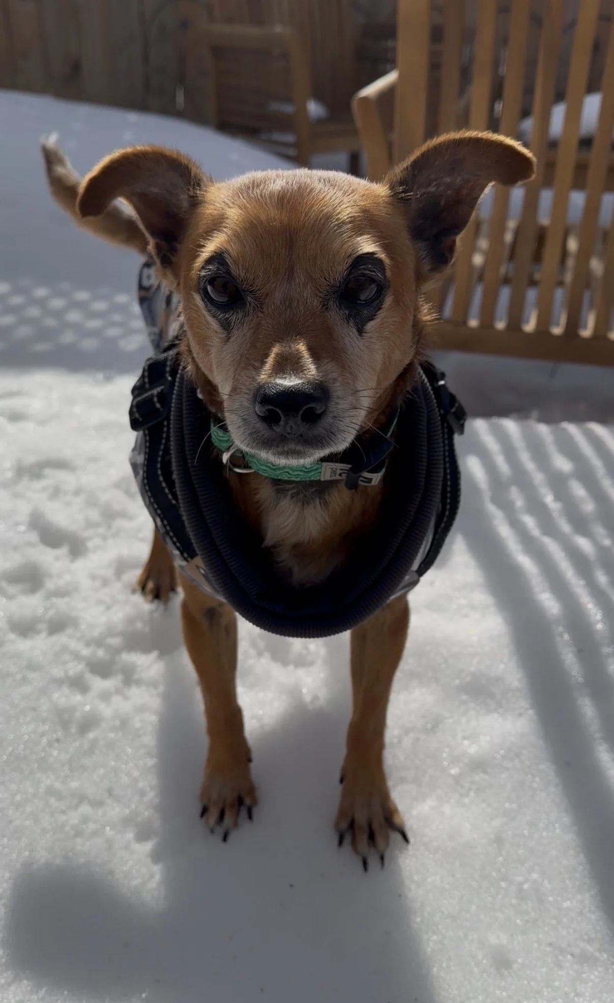 IMG_0138 - Veronica Saye.jpeg