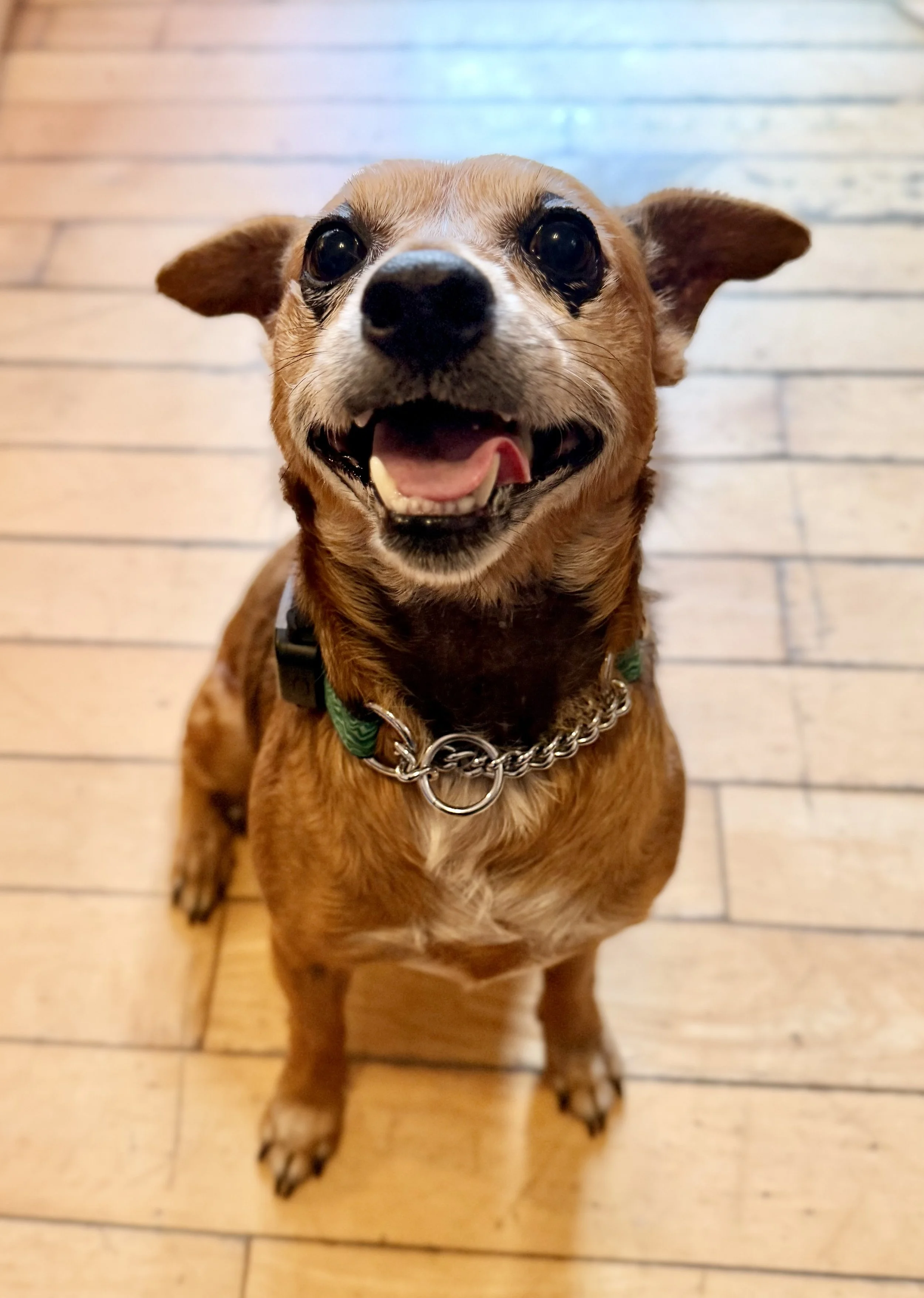 IMG_0204 - Veronica Saye.jpeg