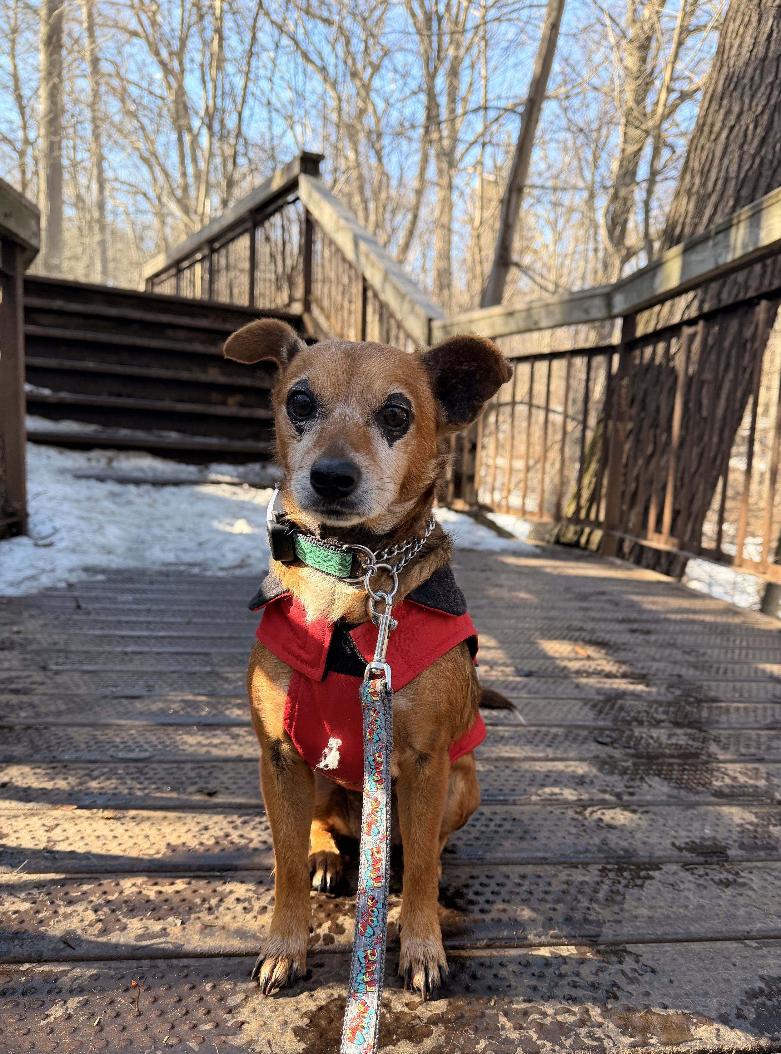 IMG_0238 - Veronica Saye.jpeg