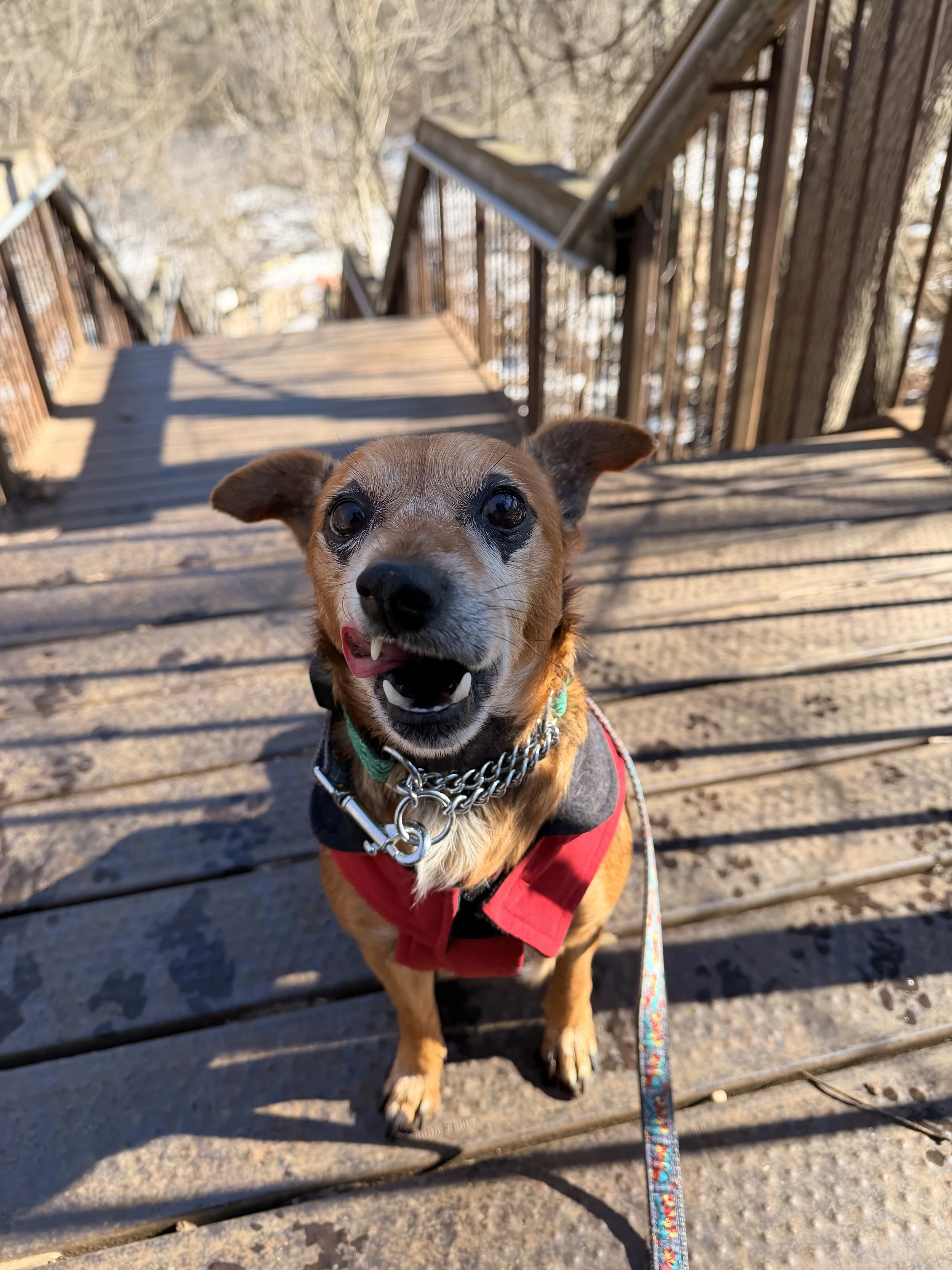 IMG_0243 - Veronica Saye.jpeg