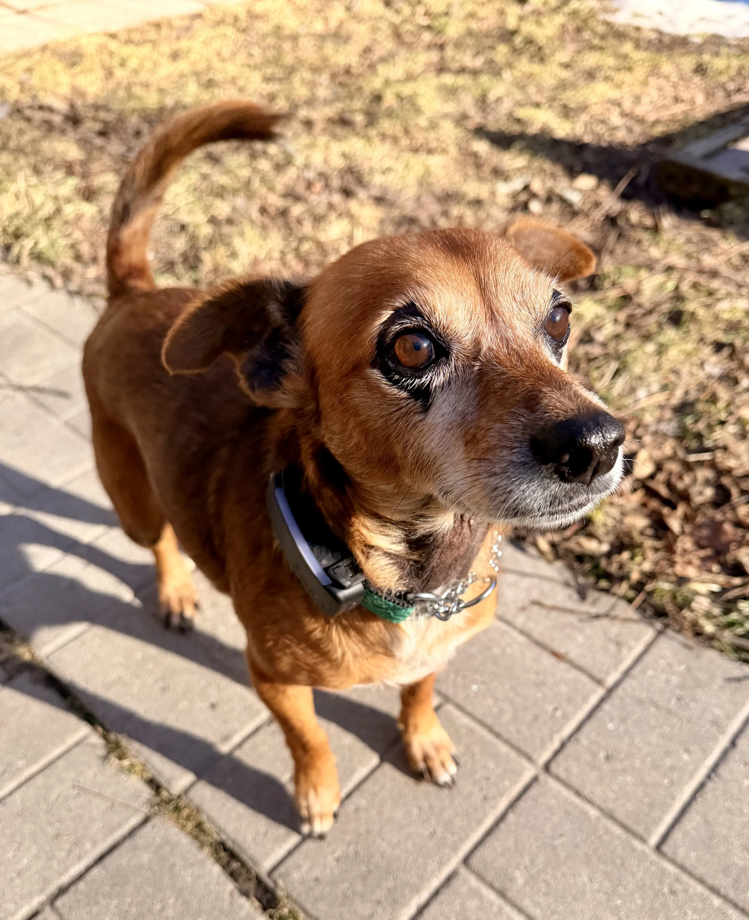 IMG_0267 - Veronica Saye.jpeg