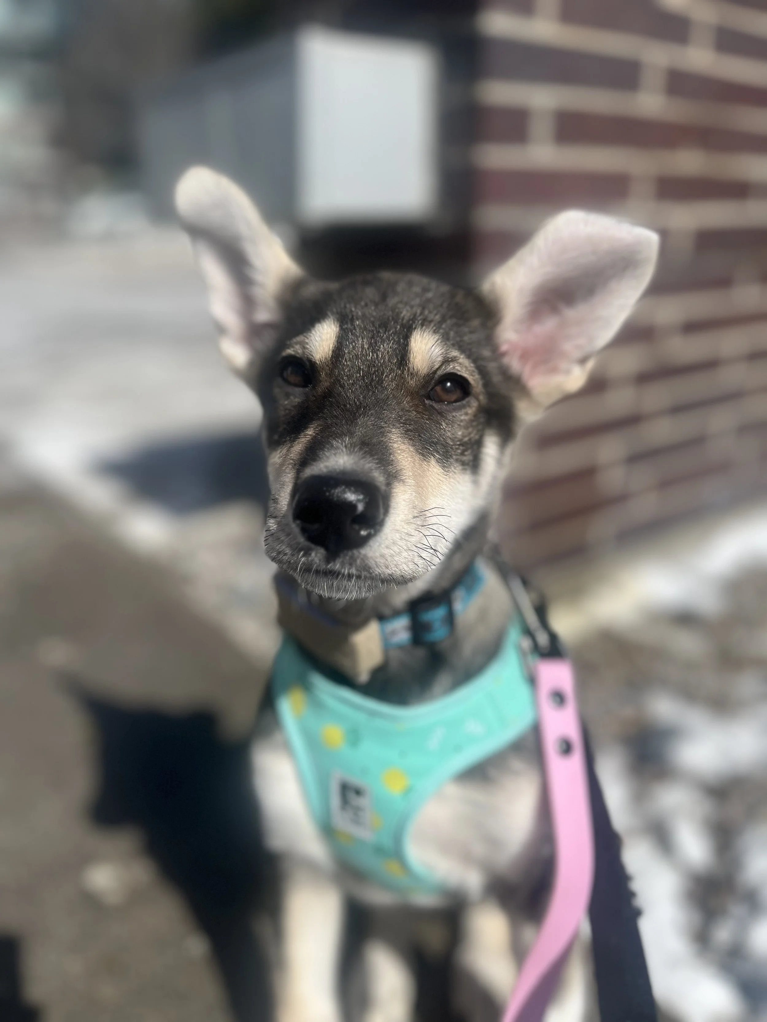 2 - Michael Teoh.jpg