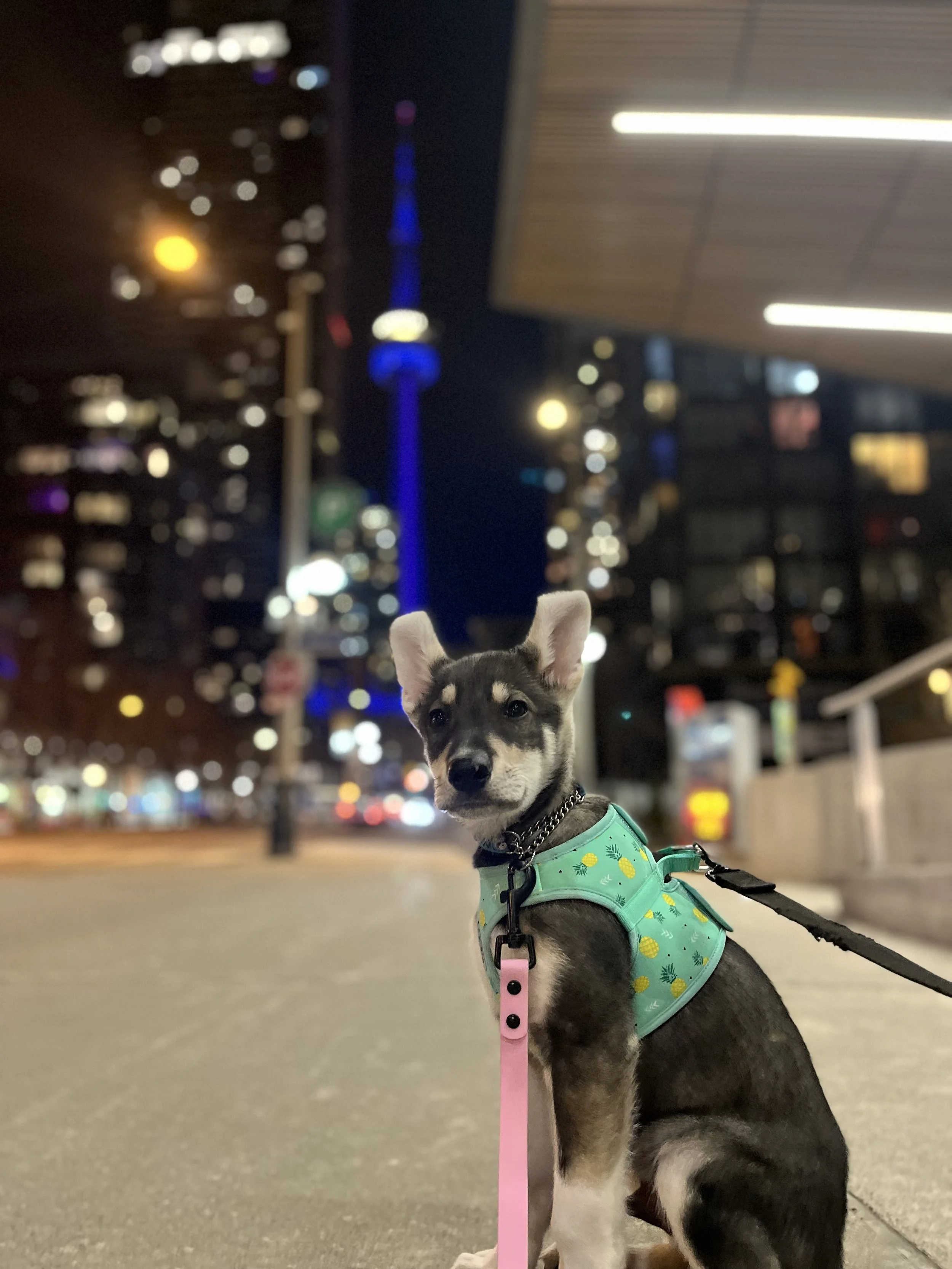 1 - Michael Teoh.jpg