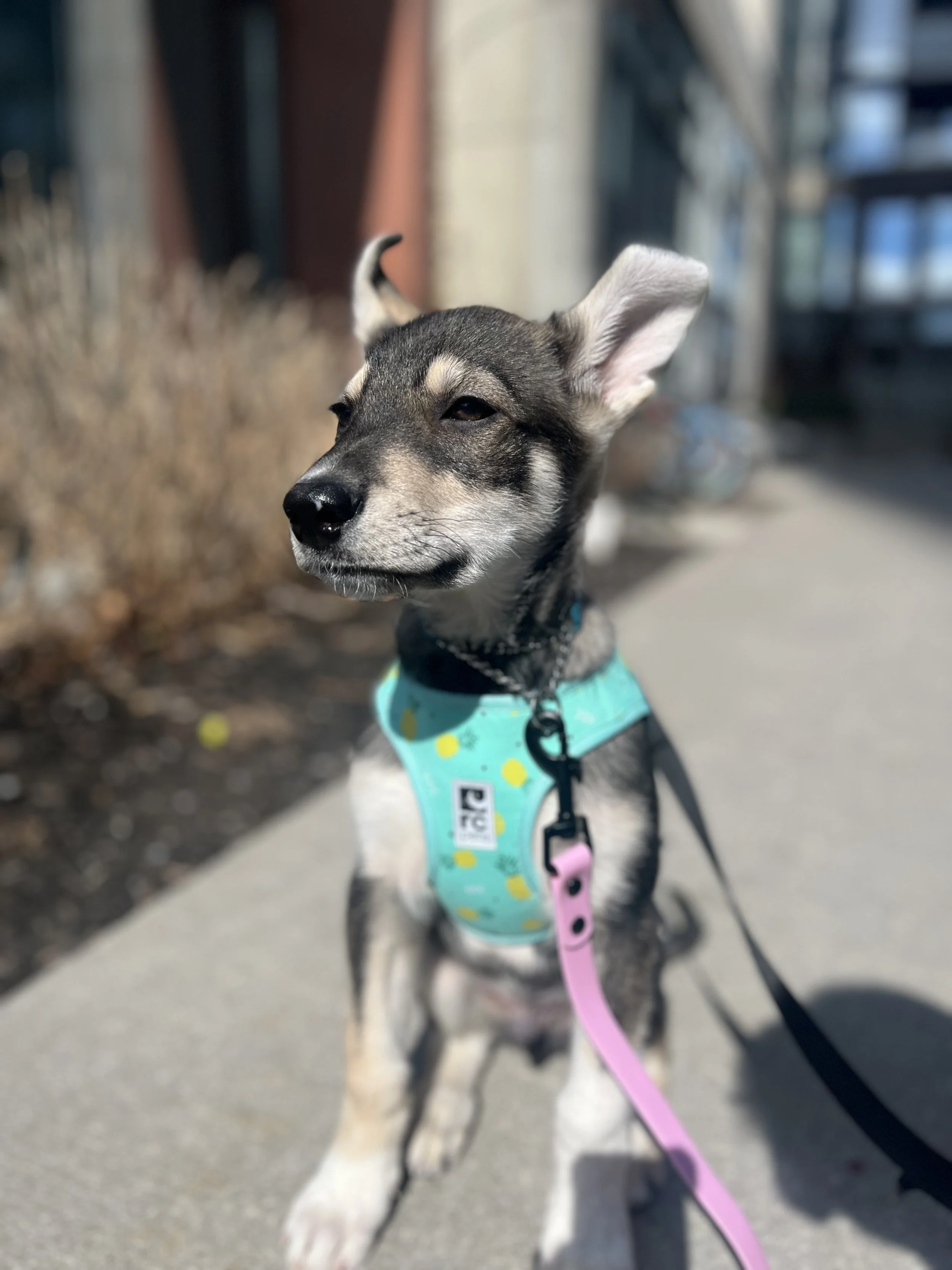 4 - Michael Teoh.jpg