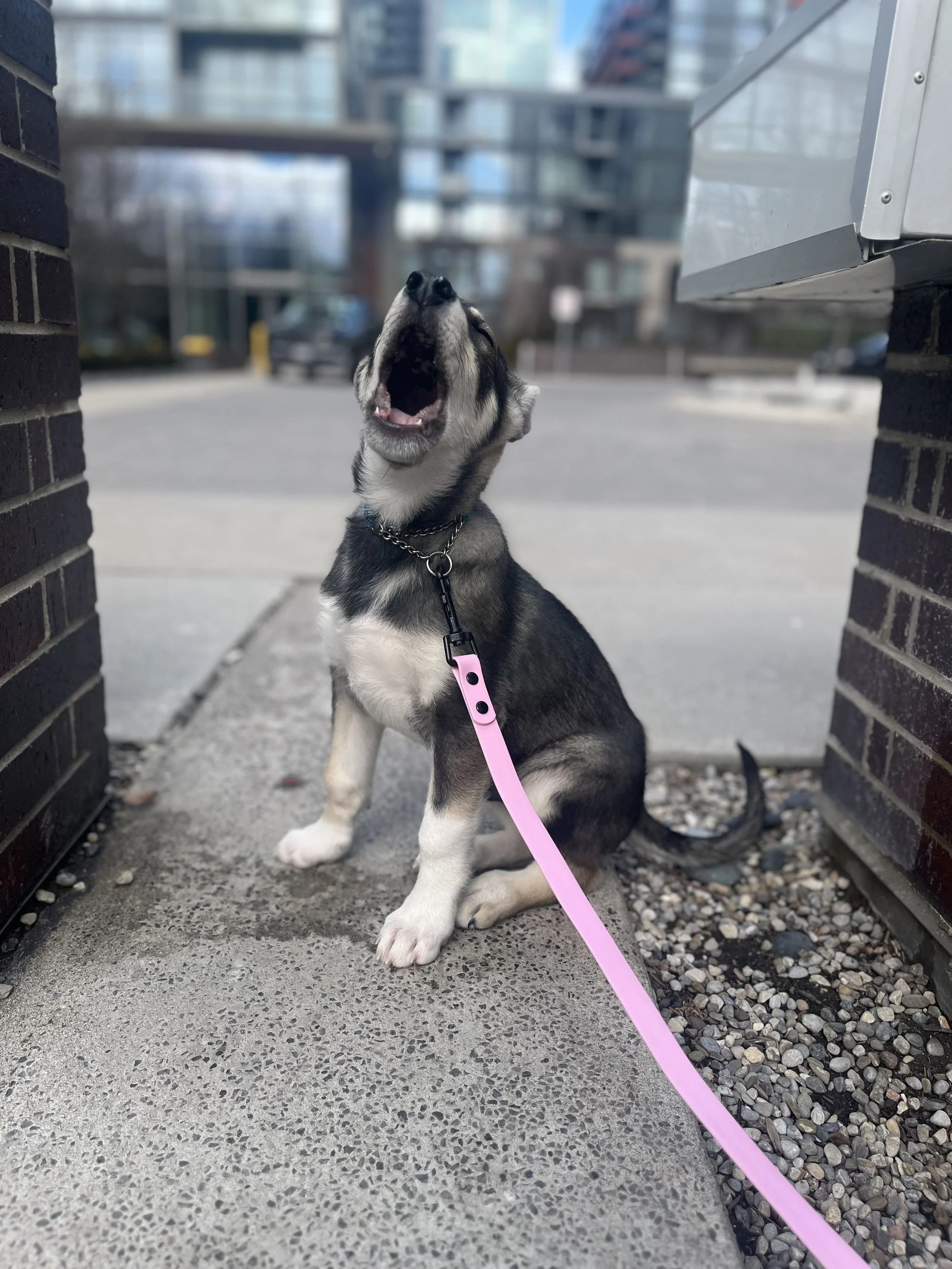 3 - Michael Teoh.jpg