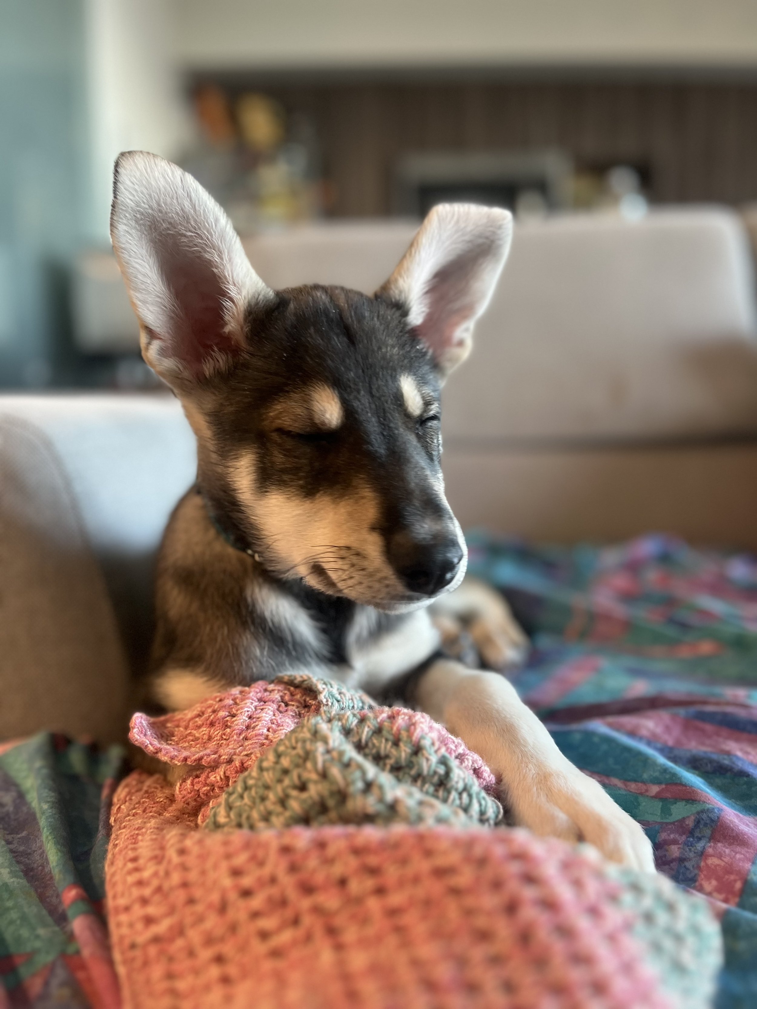 10 - Michael Teoh.jpg