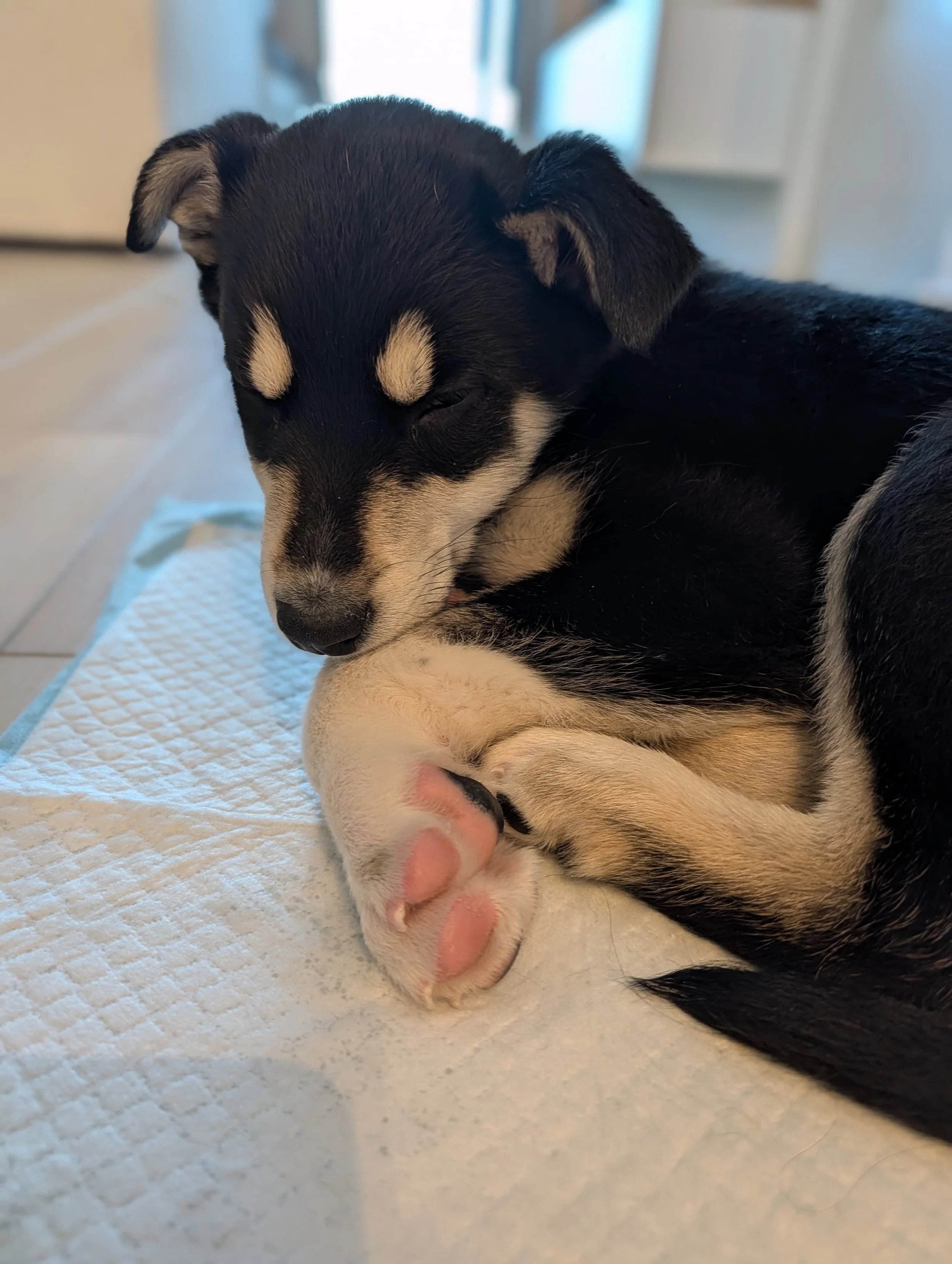 01bbdd7d-0d9d-46eb-8885-5ae3b2144e5e - Samantha Sin.jpeg