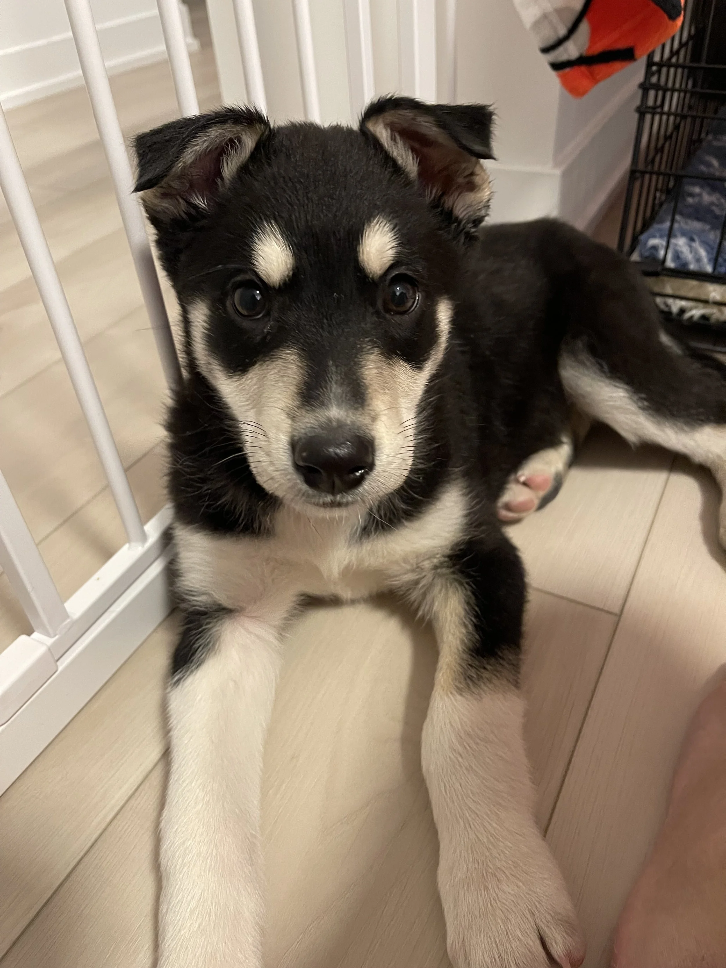 IMG_8930 - Samantha Sin.jpeg