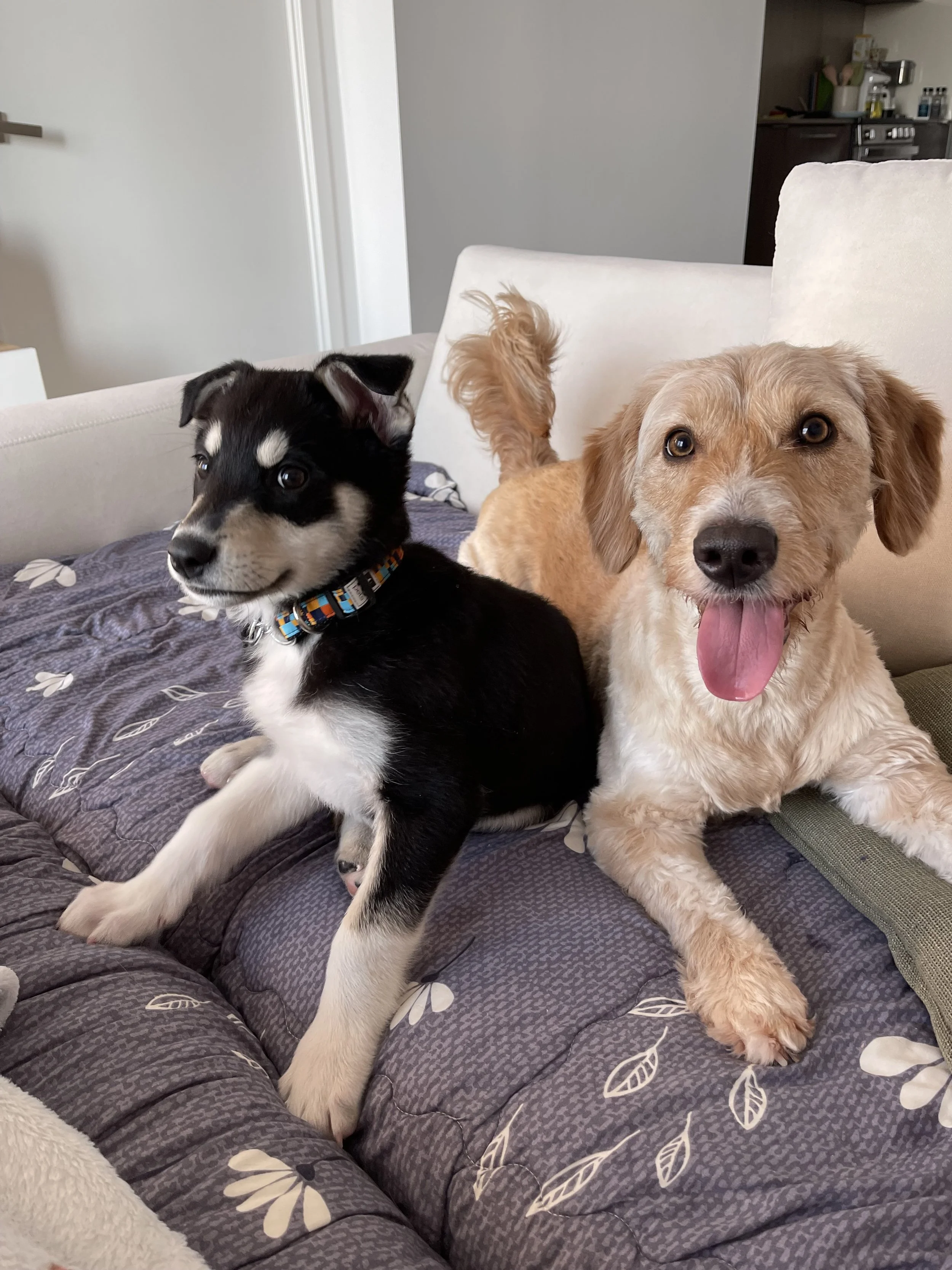 IMG_8942 - Samantha Sin.jpeg