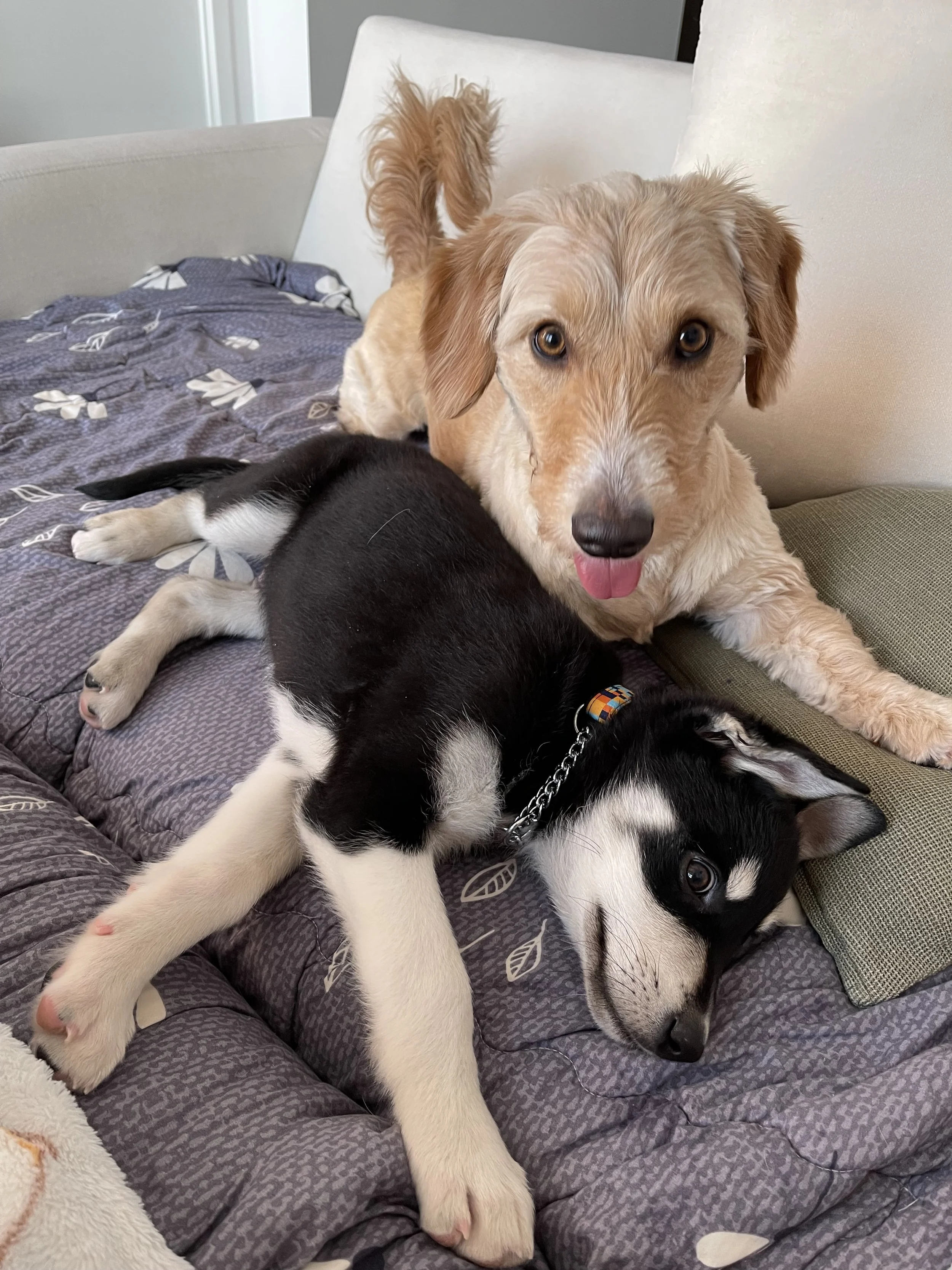 IMG_8943 - Samantha Sin.jpeg