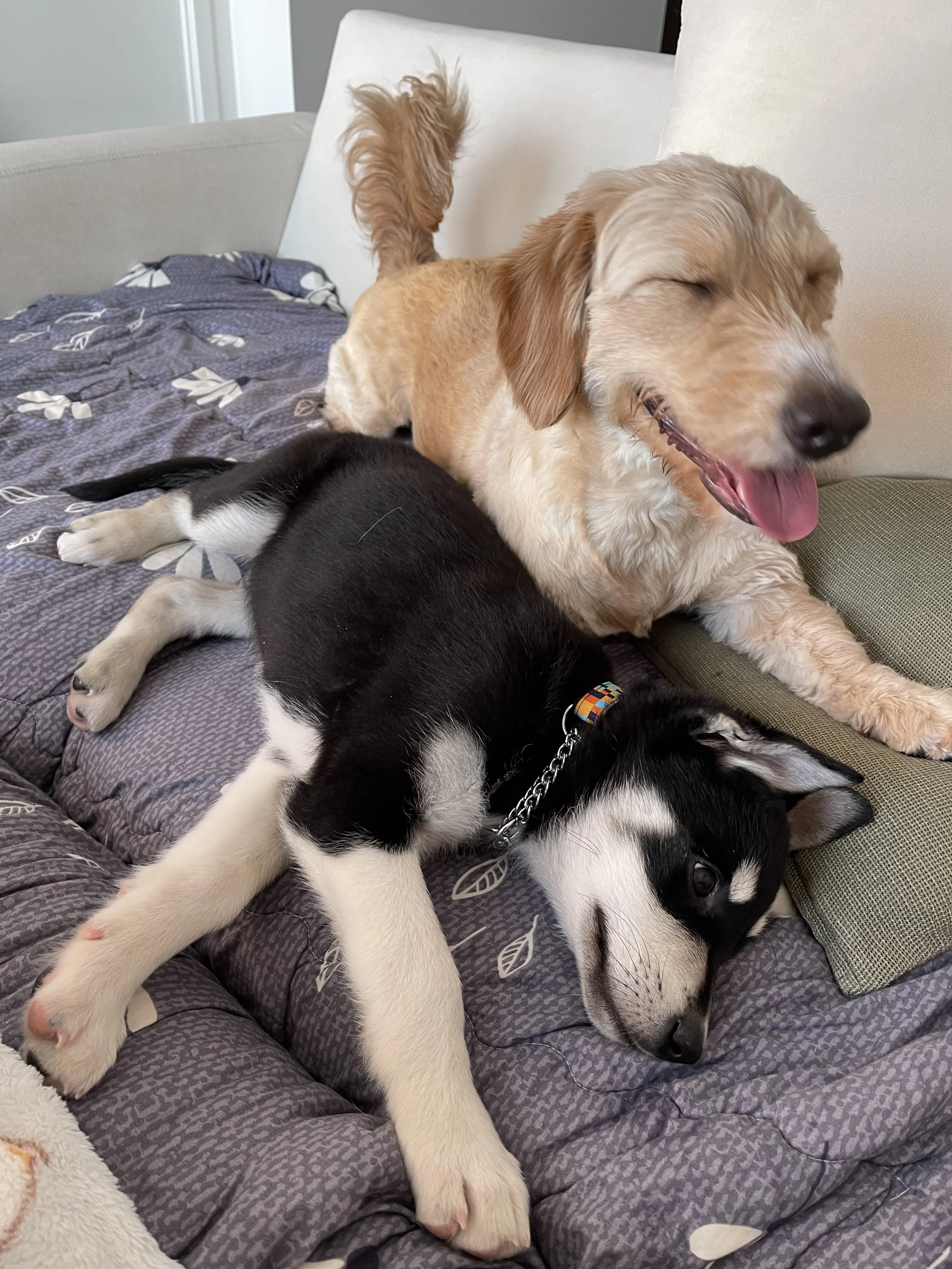 IMG_8944 - Samantha Sin.jpeg