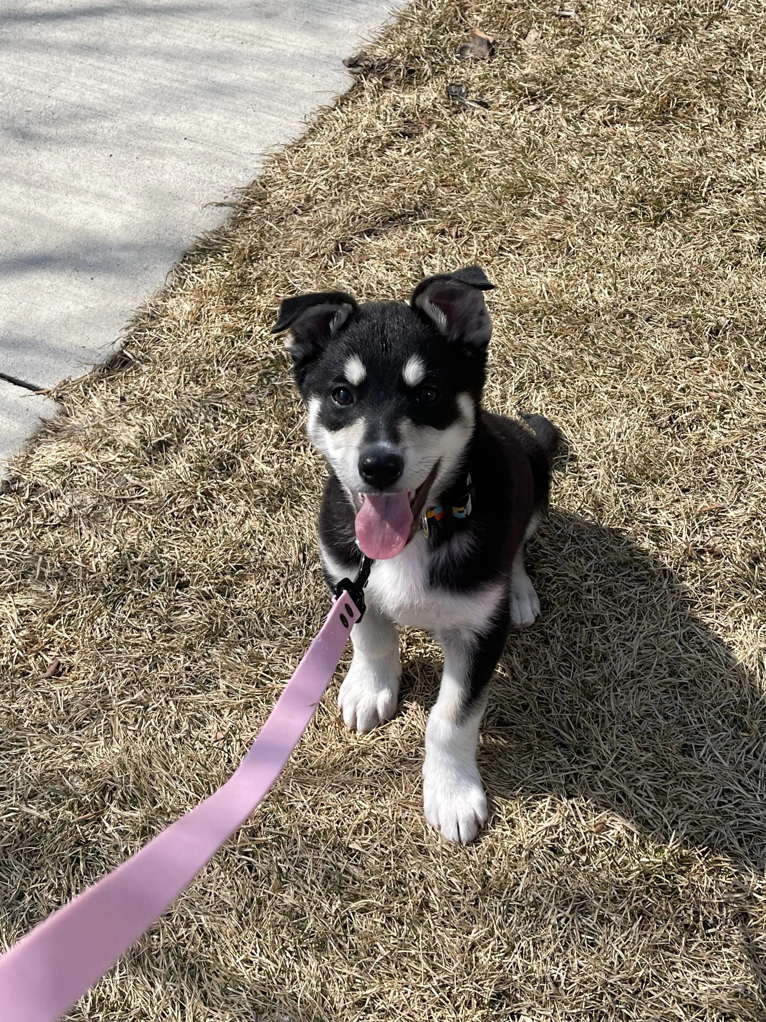 IMG_8958 - Samantha Sin.jpeg