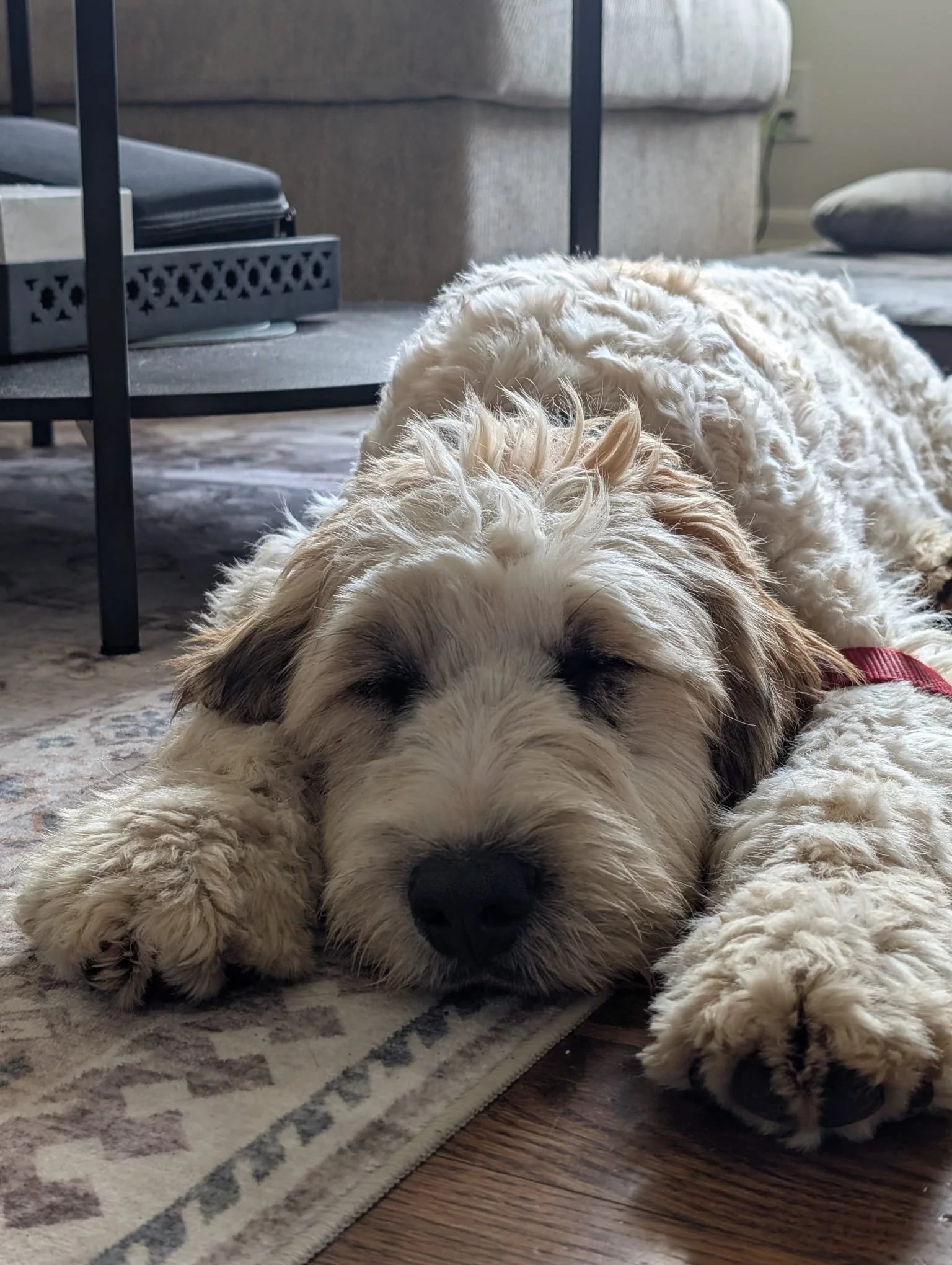 34fa054d-1048-43d0-a56e-ec954d984cc2 - Emma Fox.jpeg