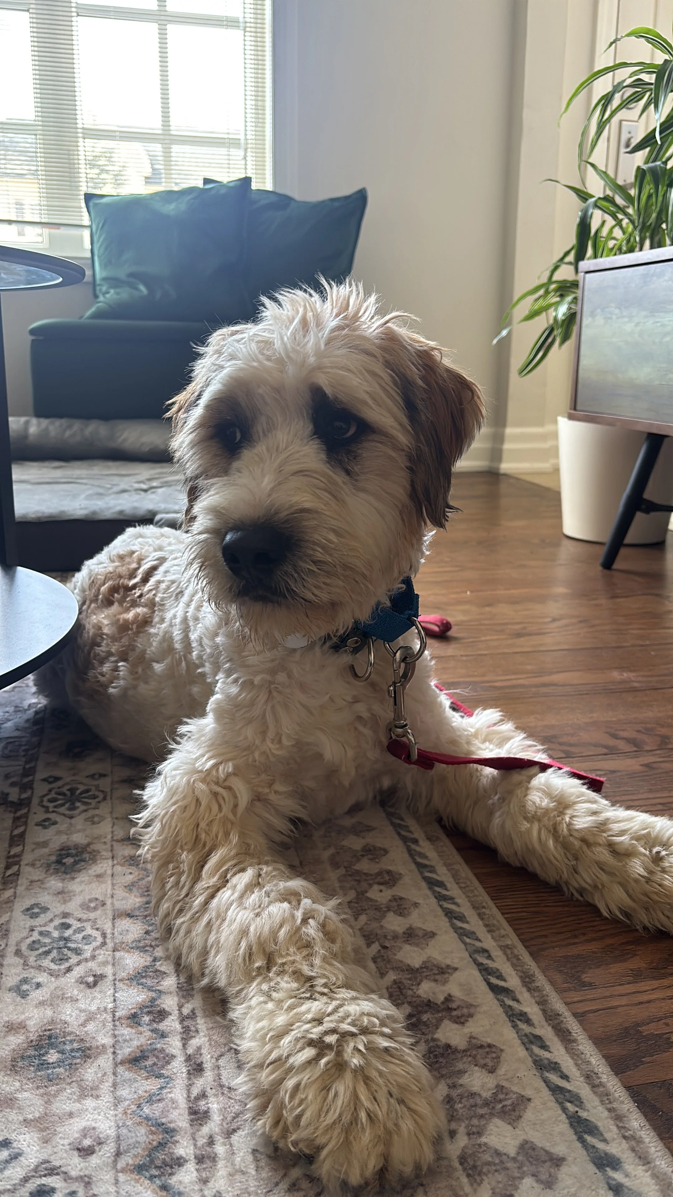 8F33473C-9C3A-471E-8801-A8AEF8FAC809 - Emma Fox.jpeg