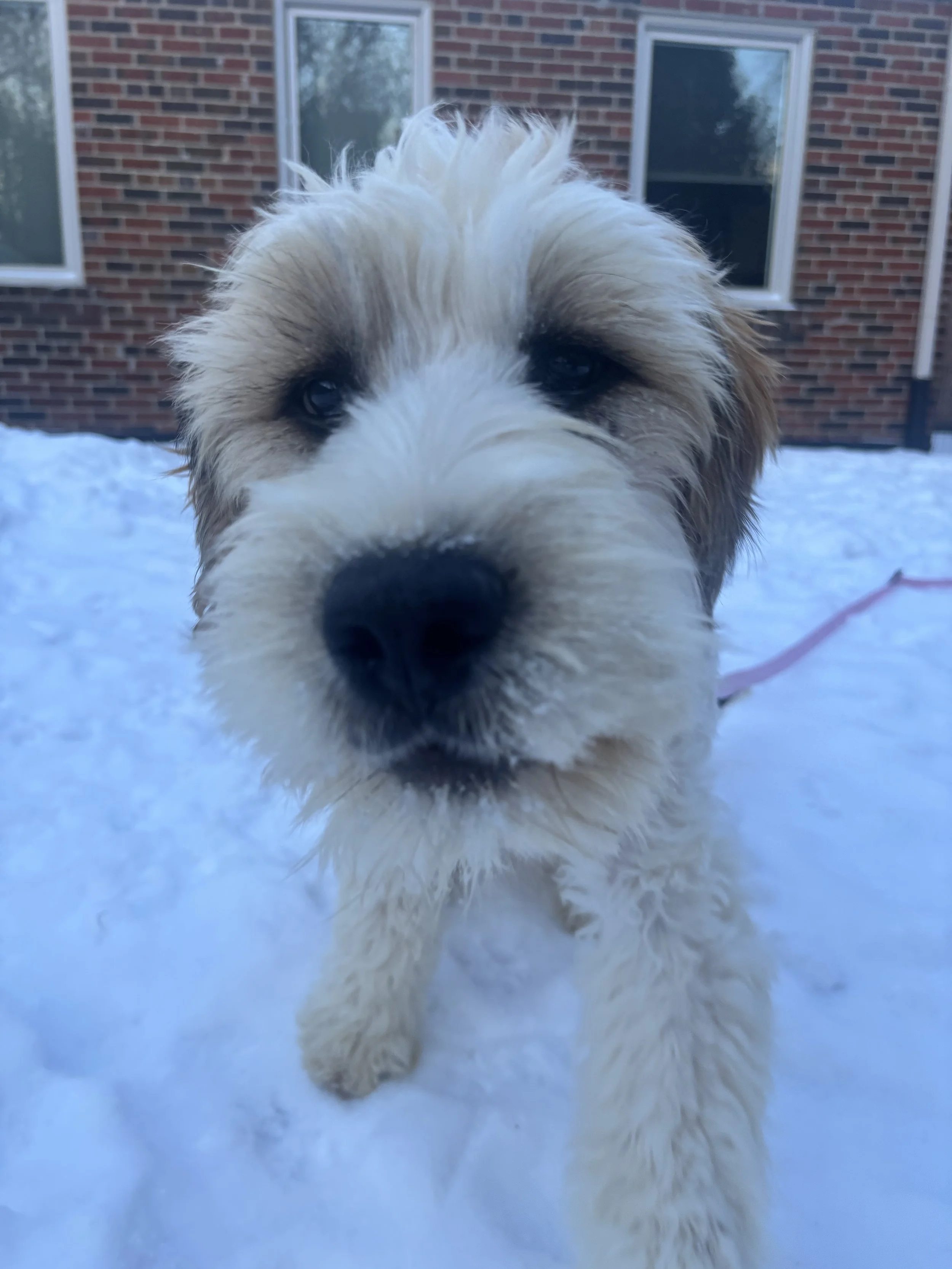 IMG_2108 - Emma Fox.jpeg