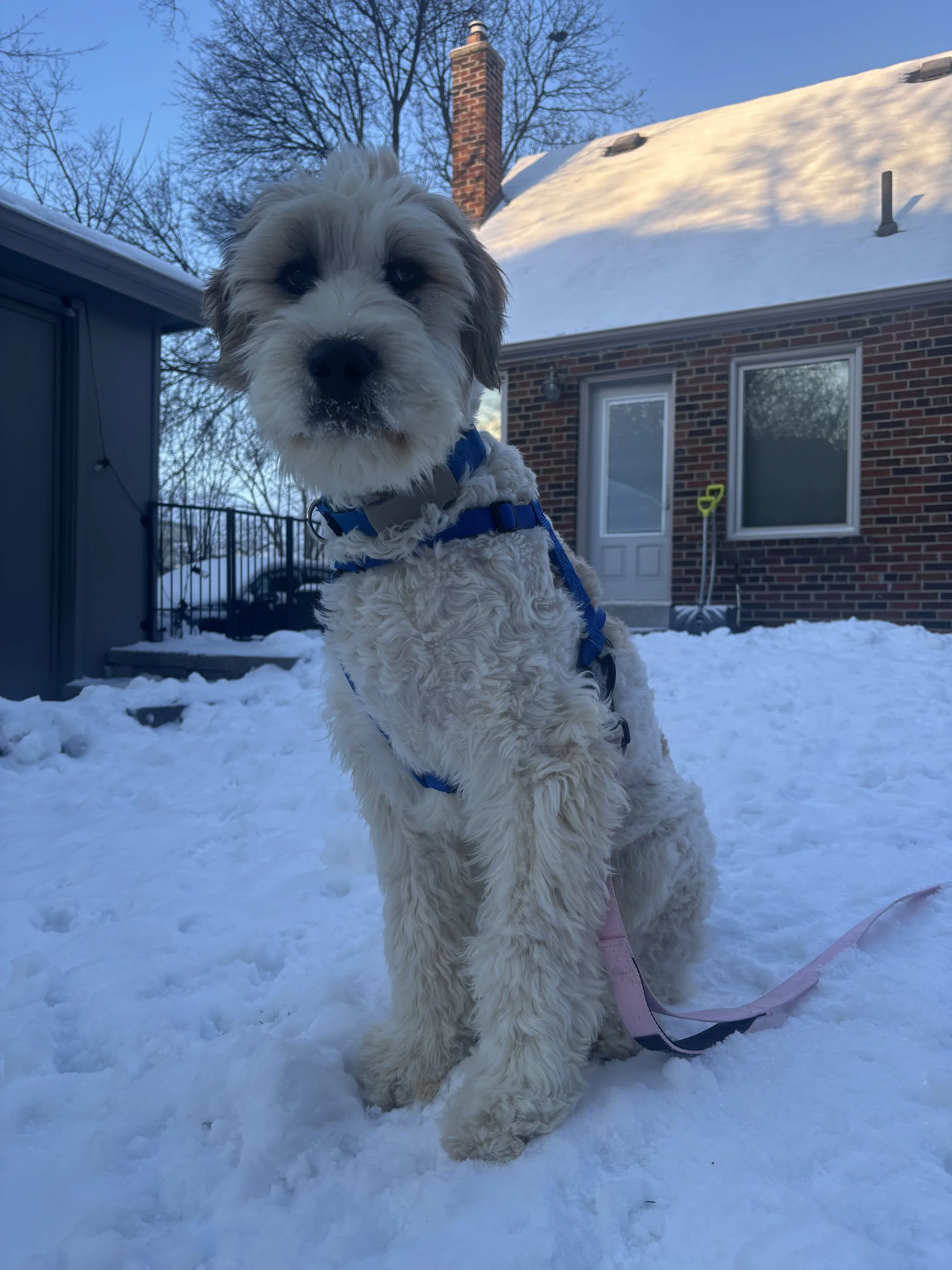 IMG_2114 - Emma Fox.jpeg