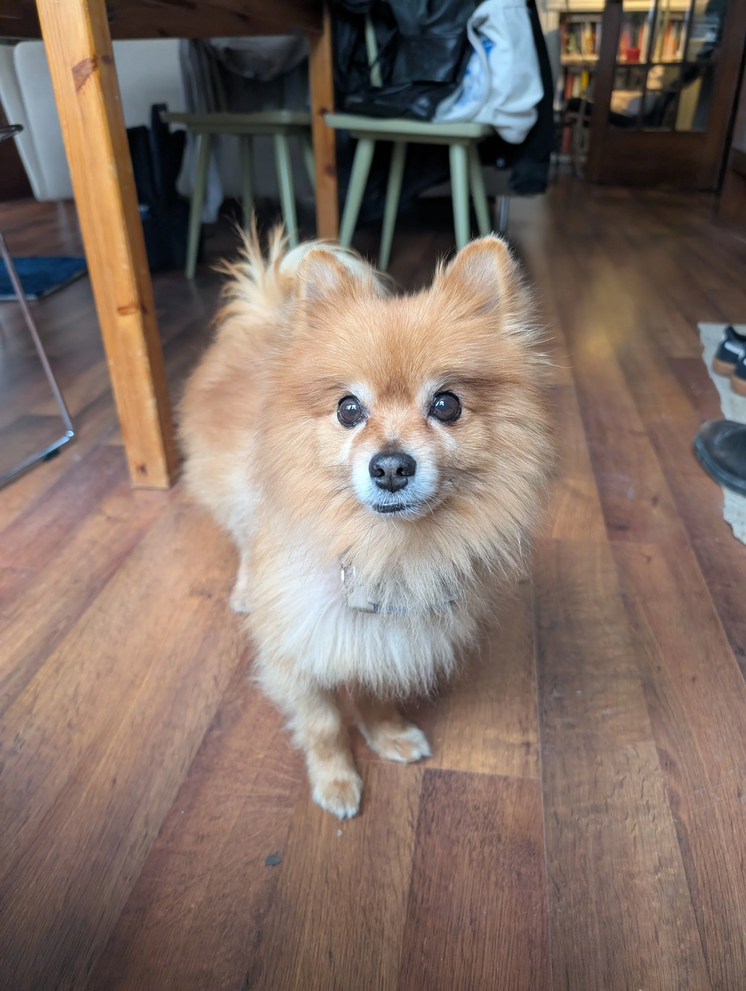 PXL_20260320_172752707.MP - Hayley Rogers.jpg