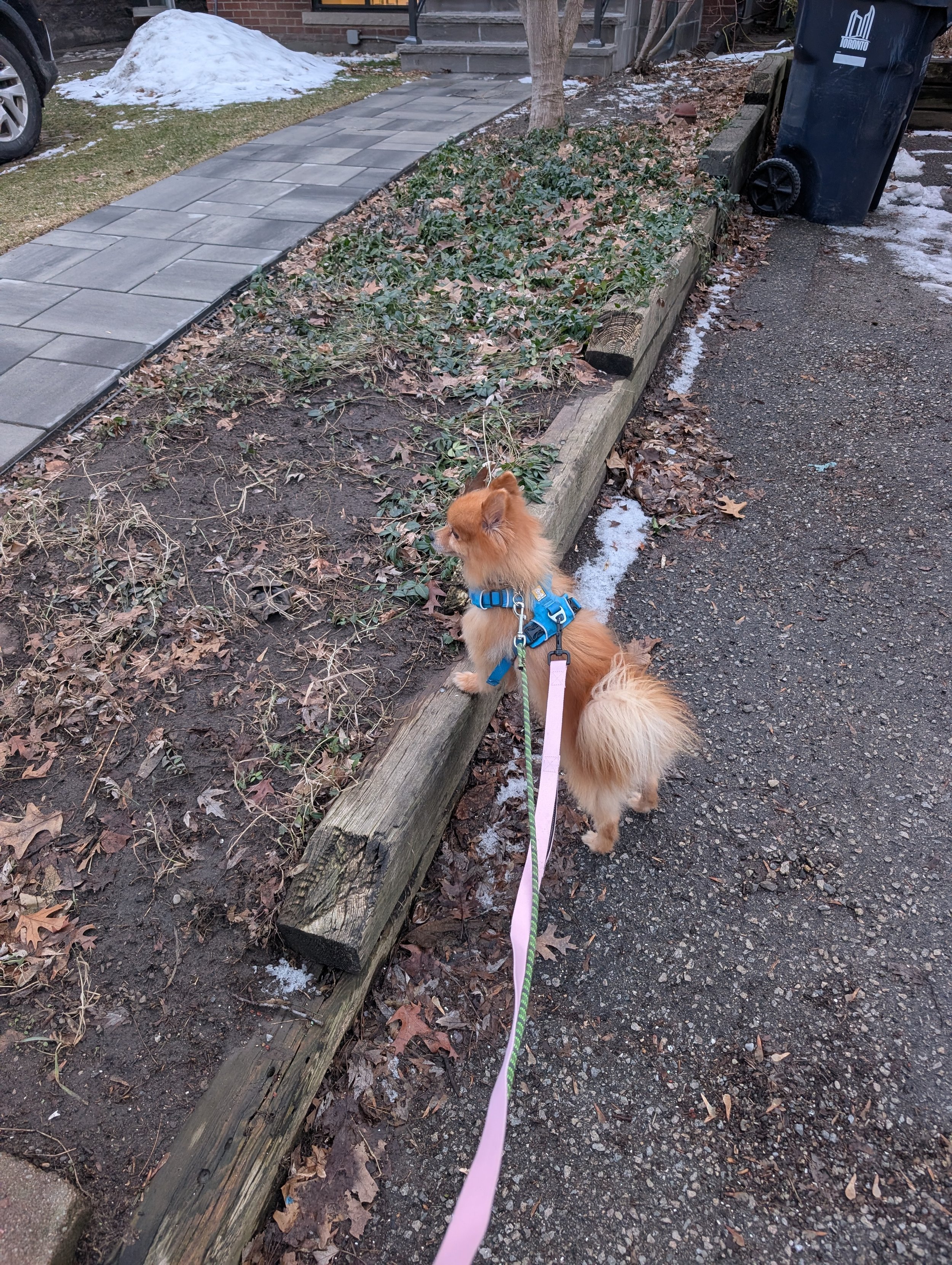 PXL_20260315_230716733 - Hayley Rogers.jpg