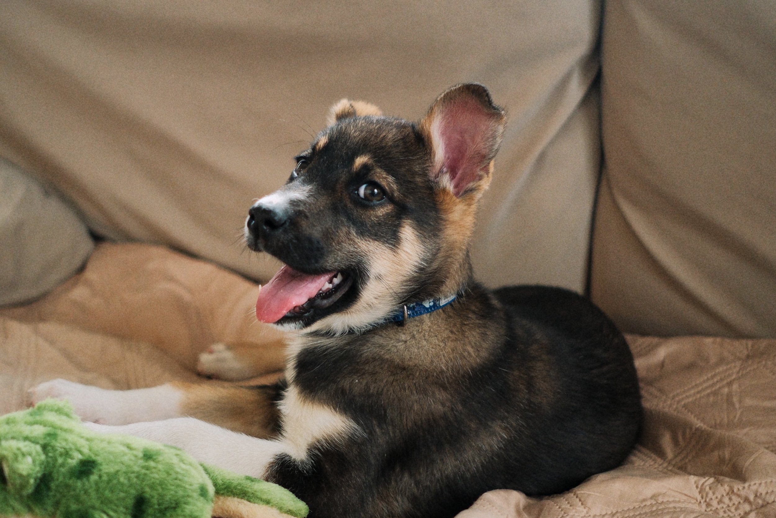 DSCF5331 - Antonio Limtong.jpeg