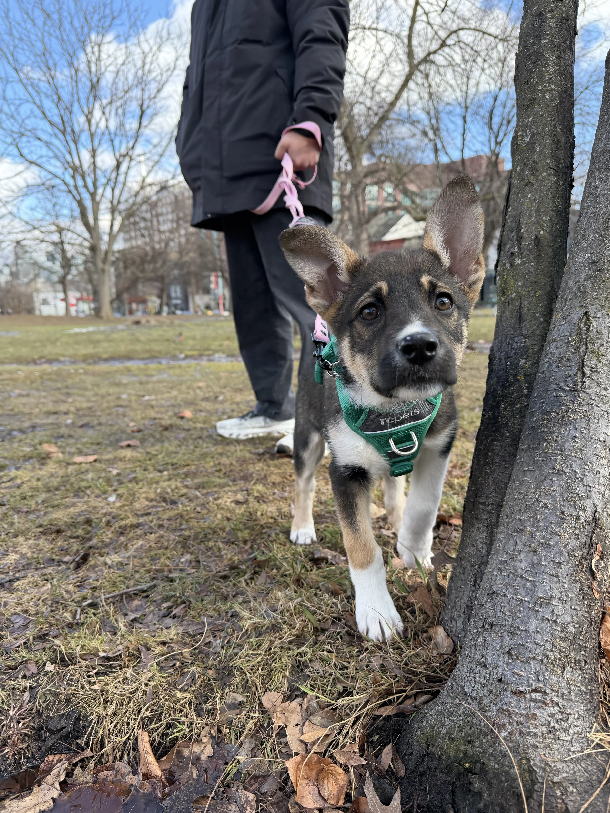 IMG_6094 - Antonio Limtong.jpeg