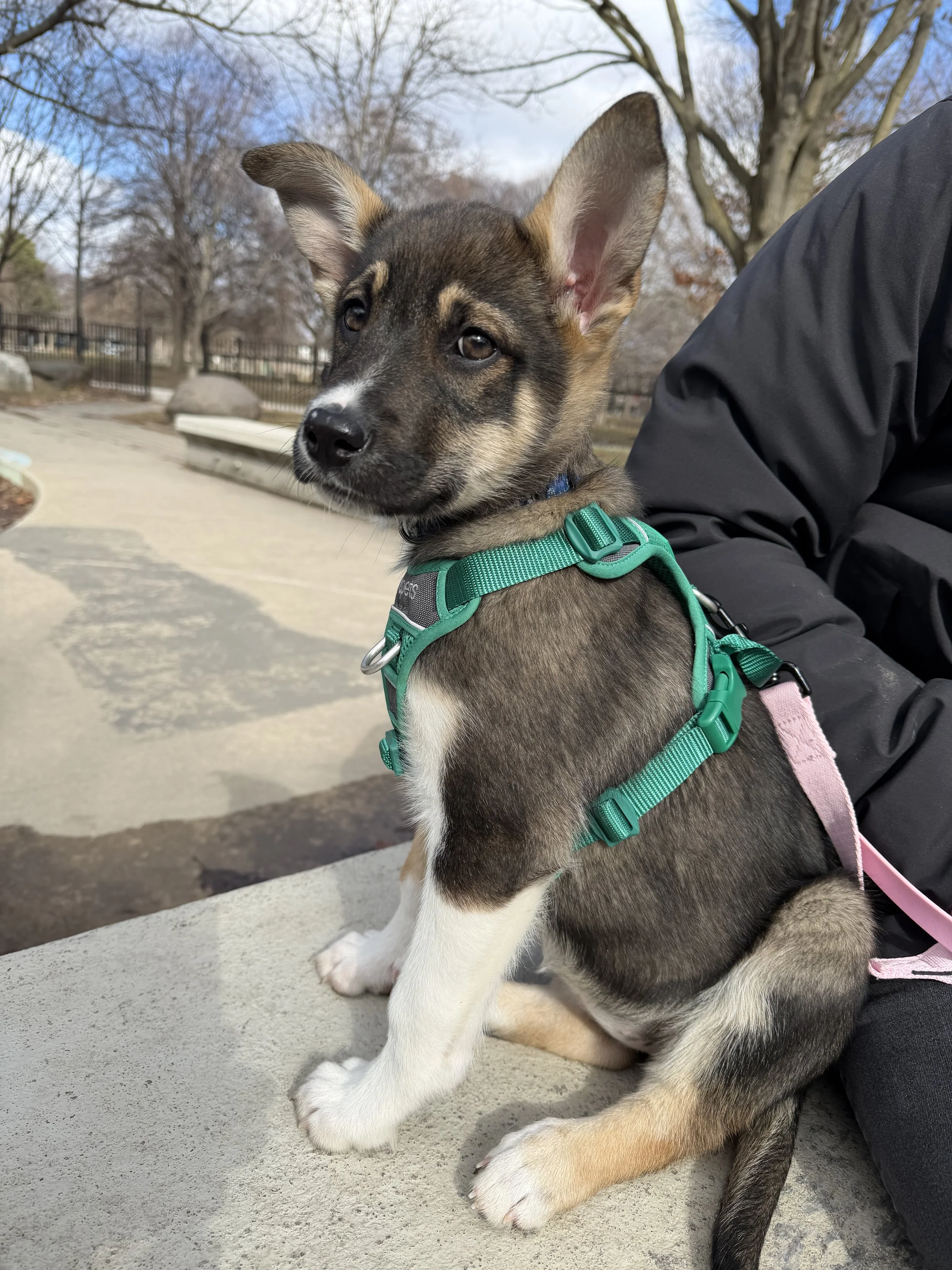 IMG_6102 - Antonio Limtong.jpeg