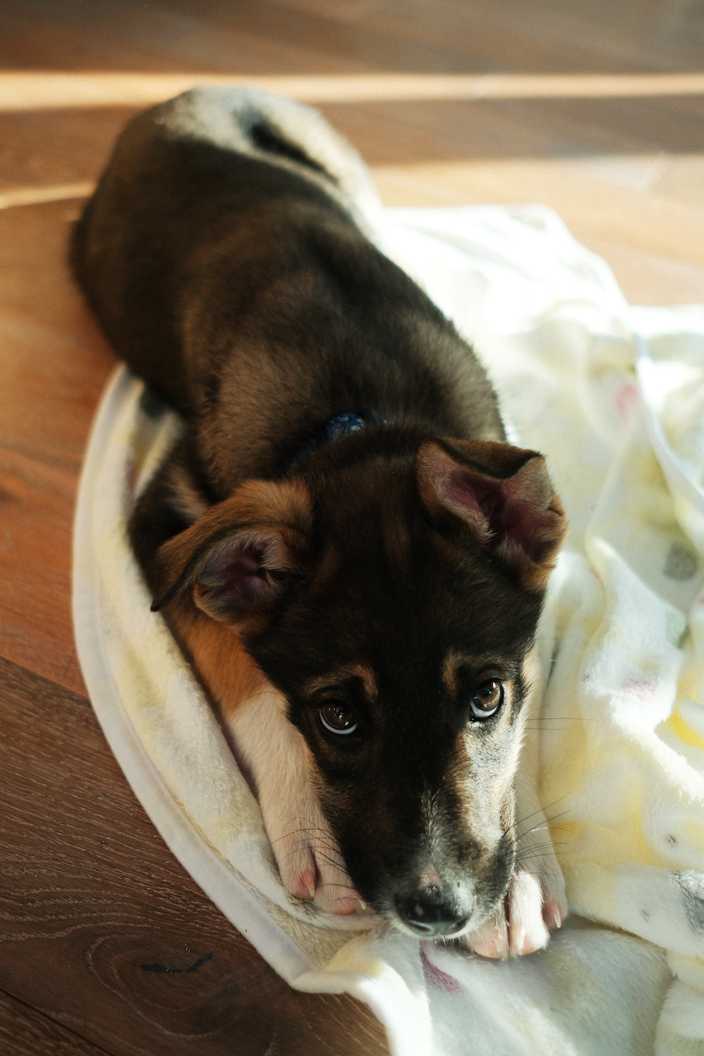 DSCF5325 - Antonio Limtong.png