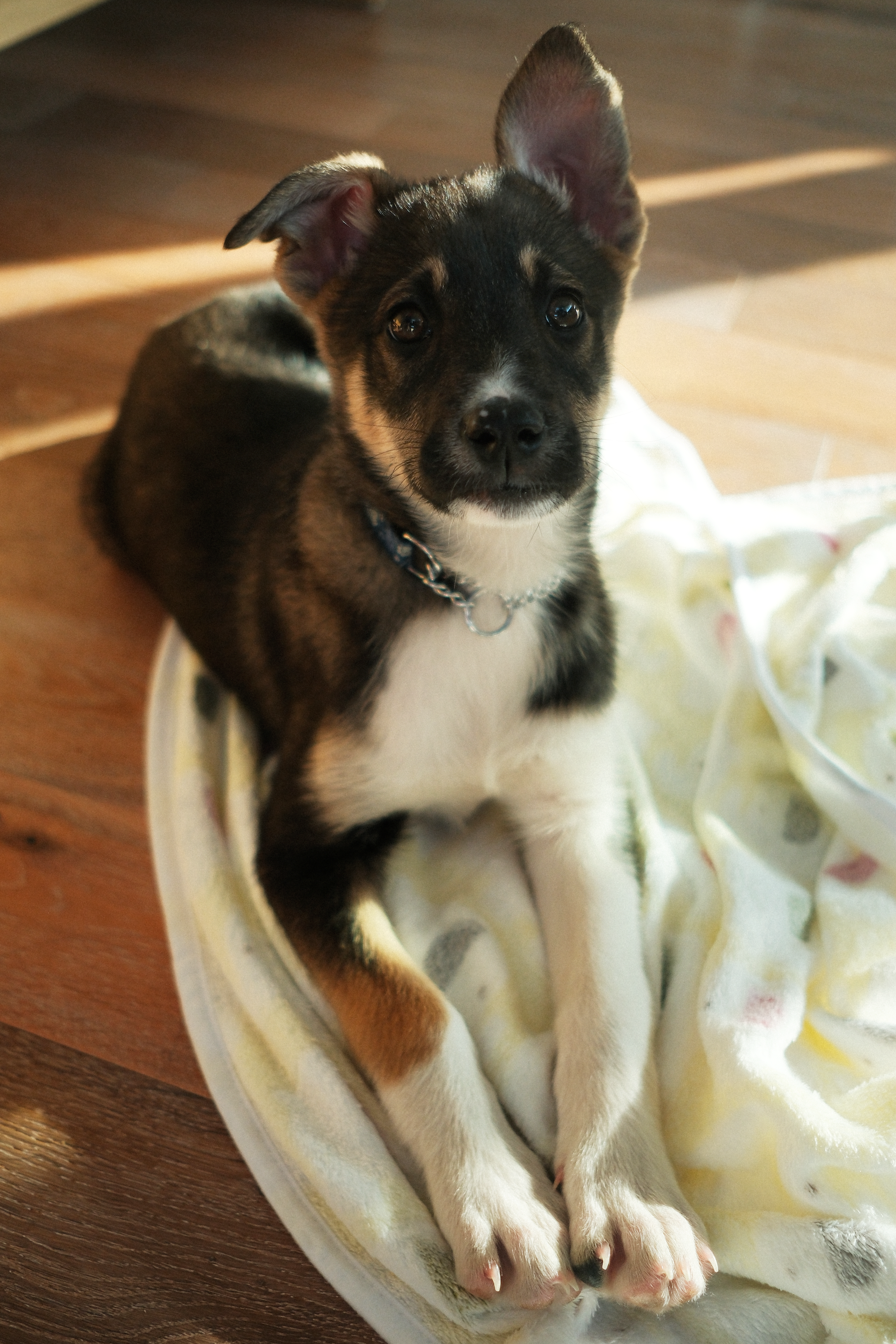 DSCF5326 - Antonio Limtong.png