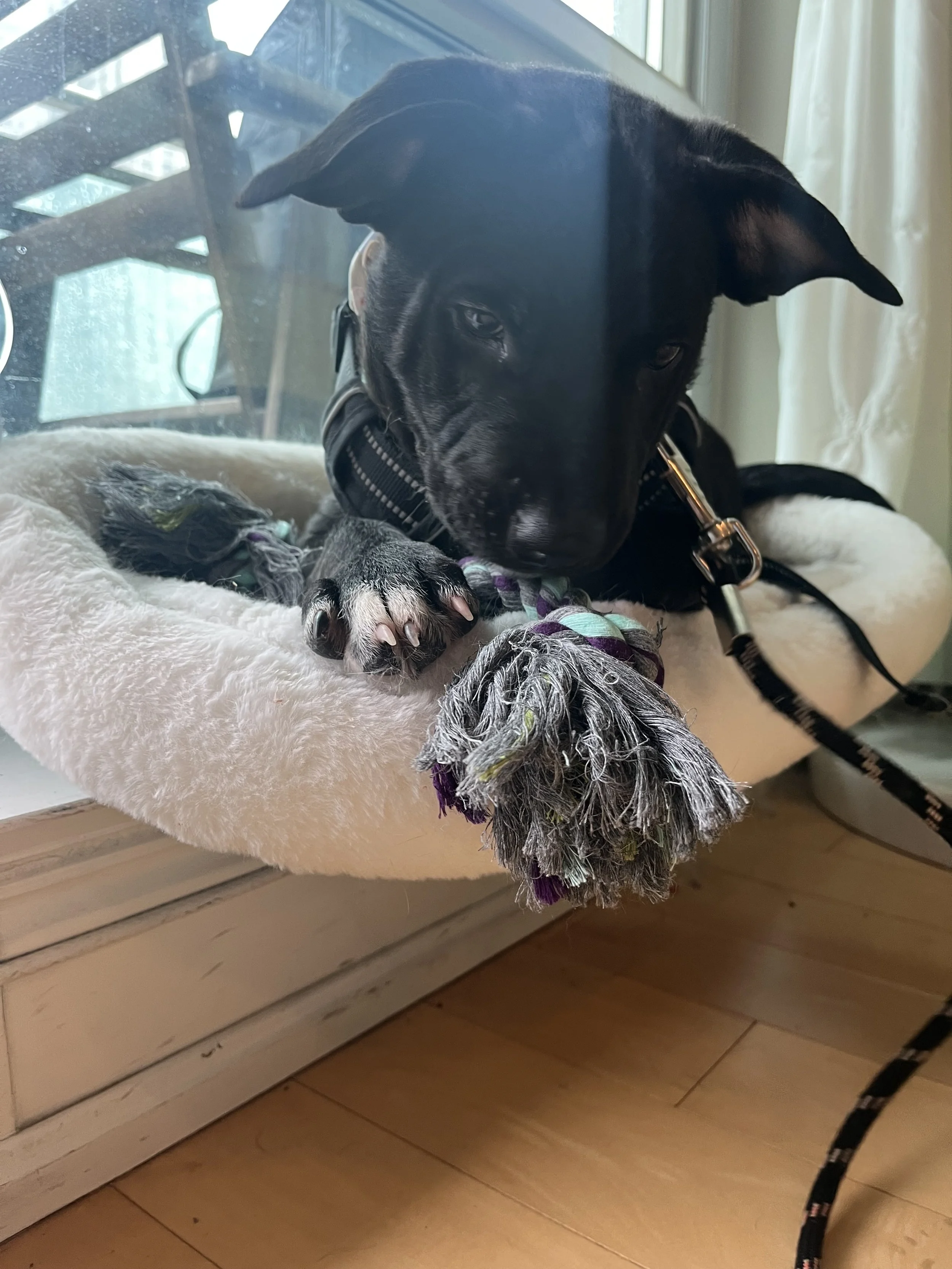 IMG_3298 - Heather Murray.jpeg