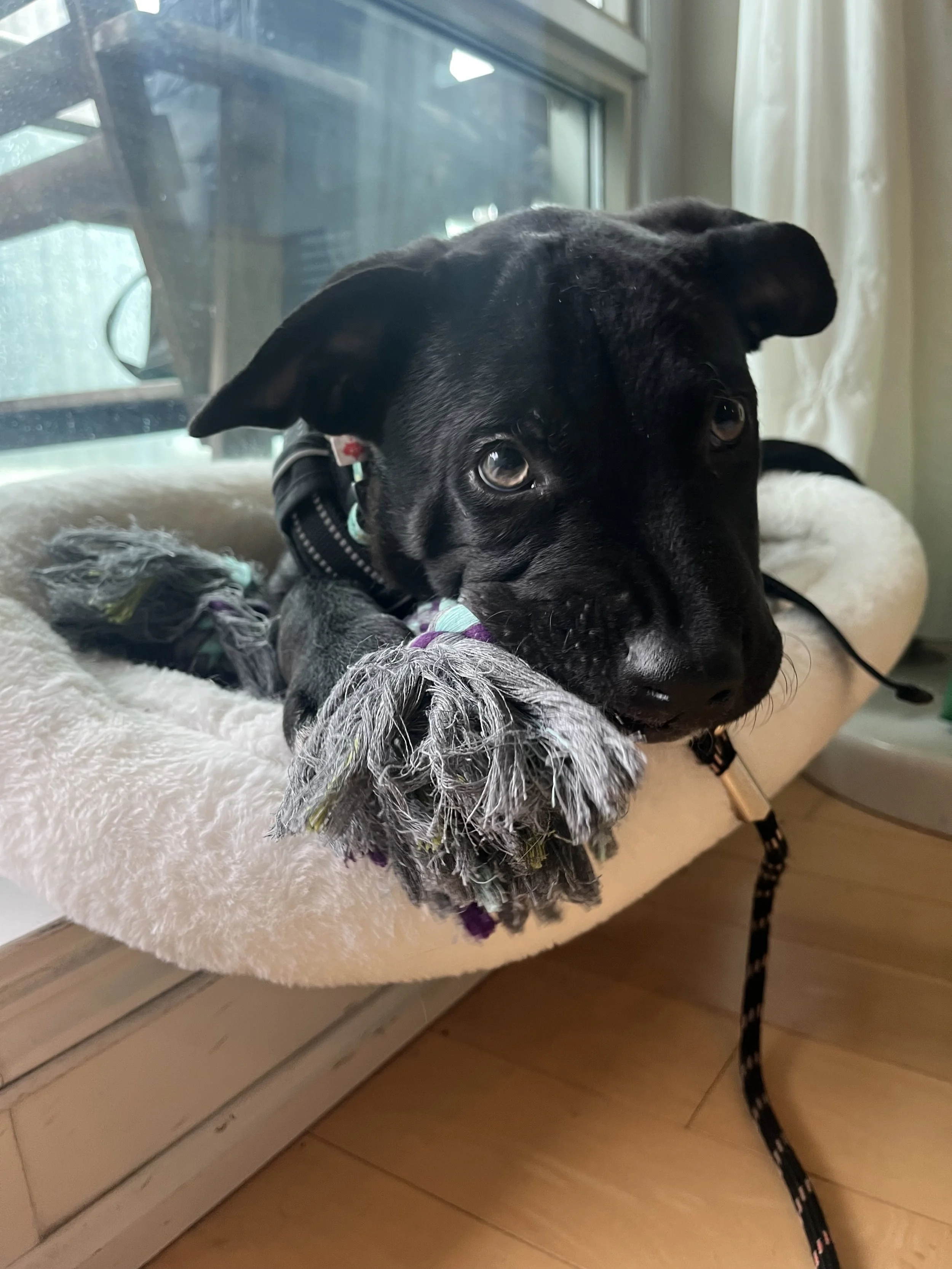 IMG_3299 - Heather Murray.jpeg