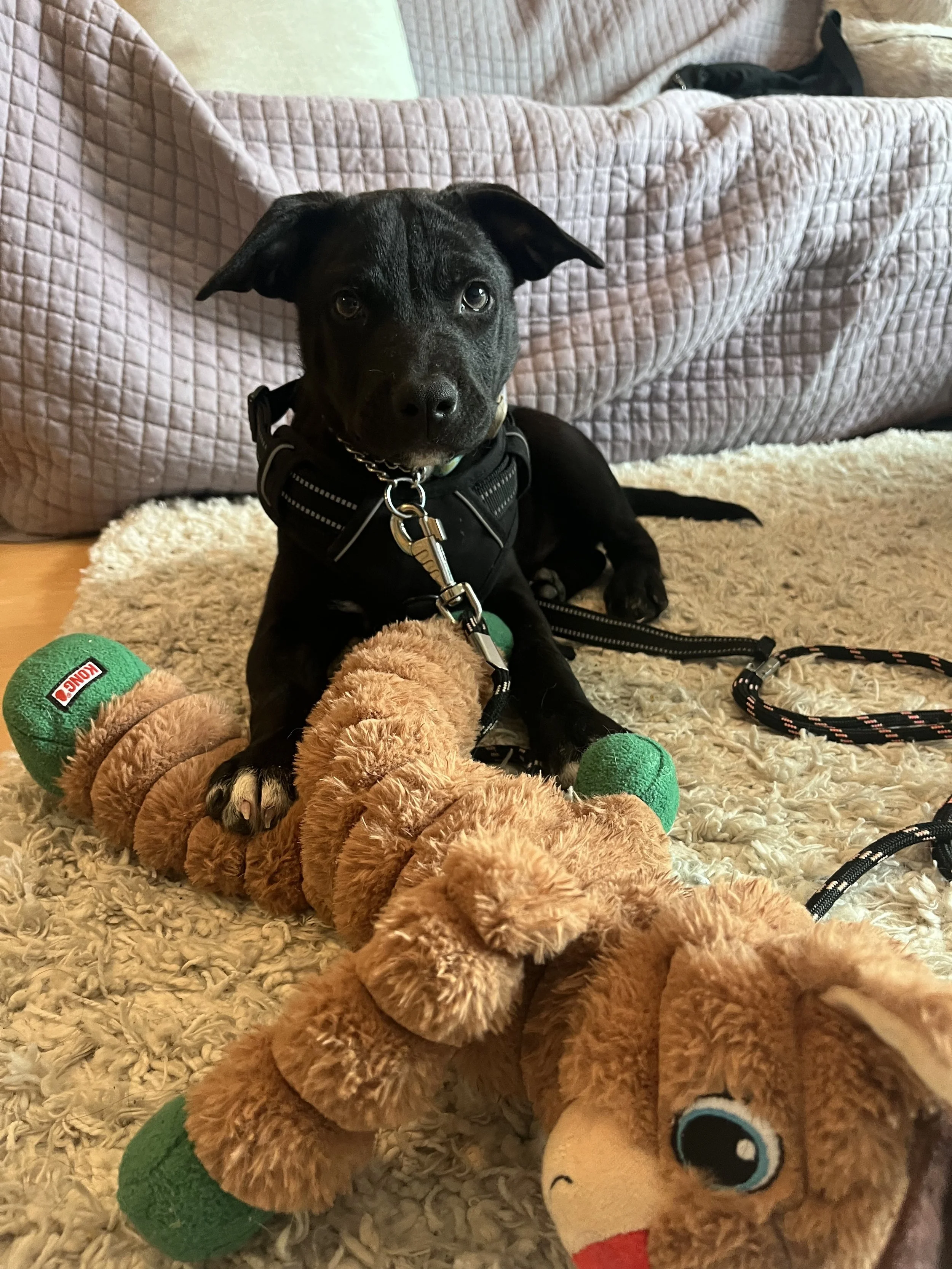 IMG_3304 - Heather Murray.jpeg