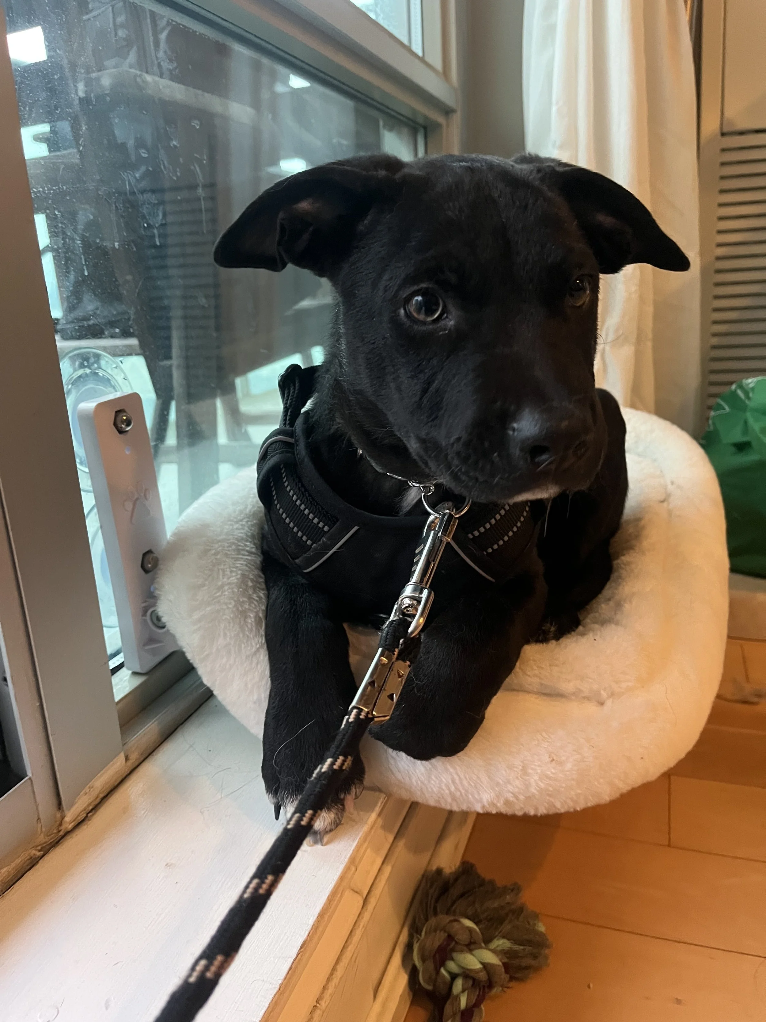 IMG_3306 - Heather Murray.jpeg