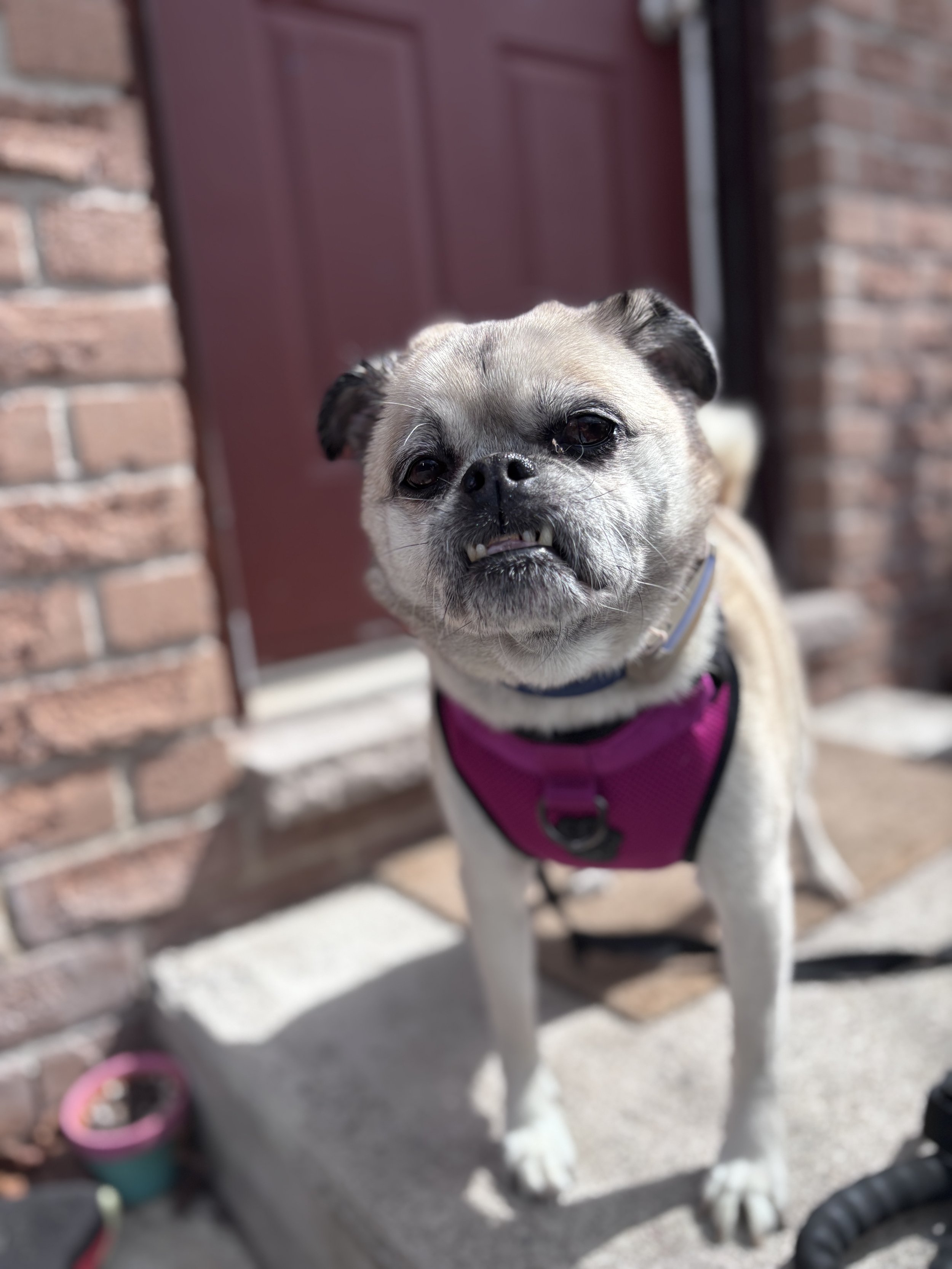 IMG_1493 - Alexandra Kealey.jpeg