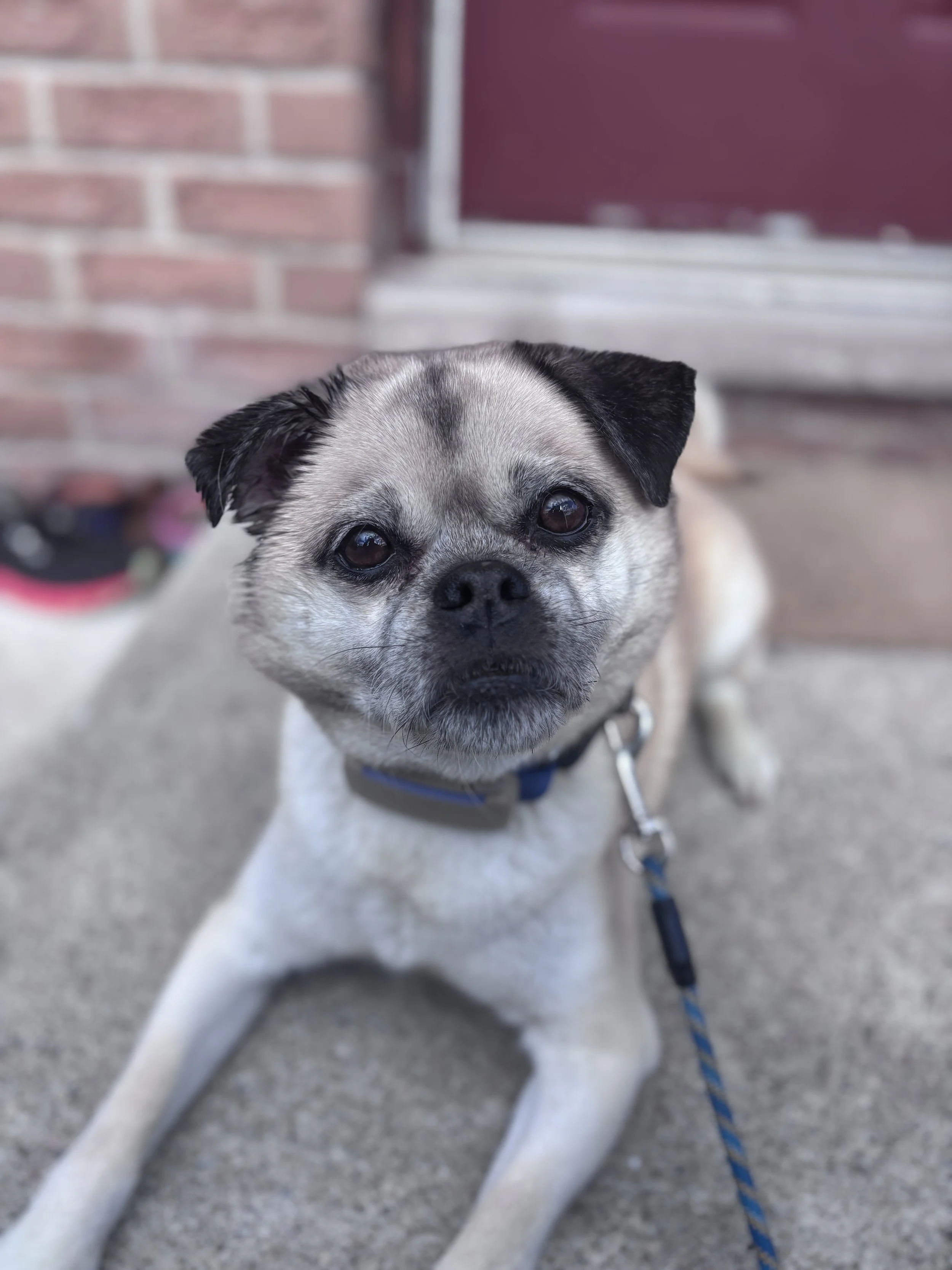 IMG_1555 - Alexandra Kealey.jpeg