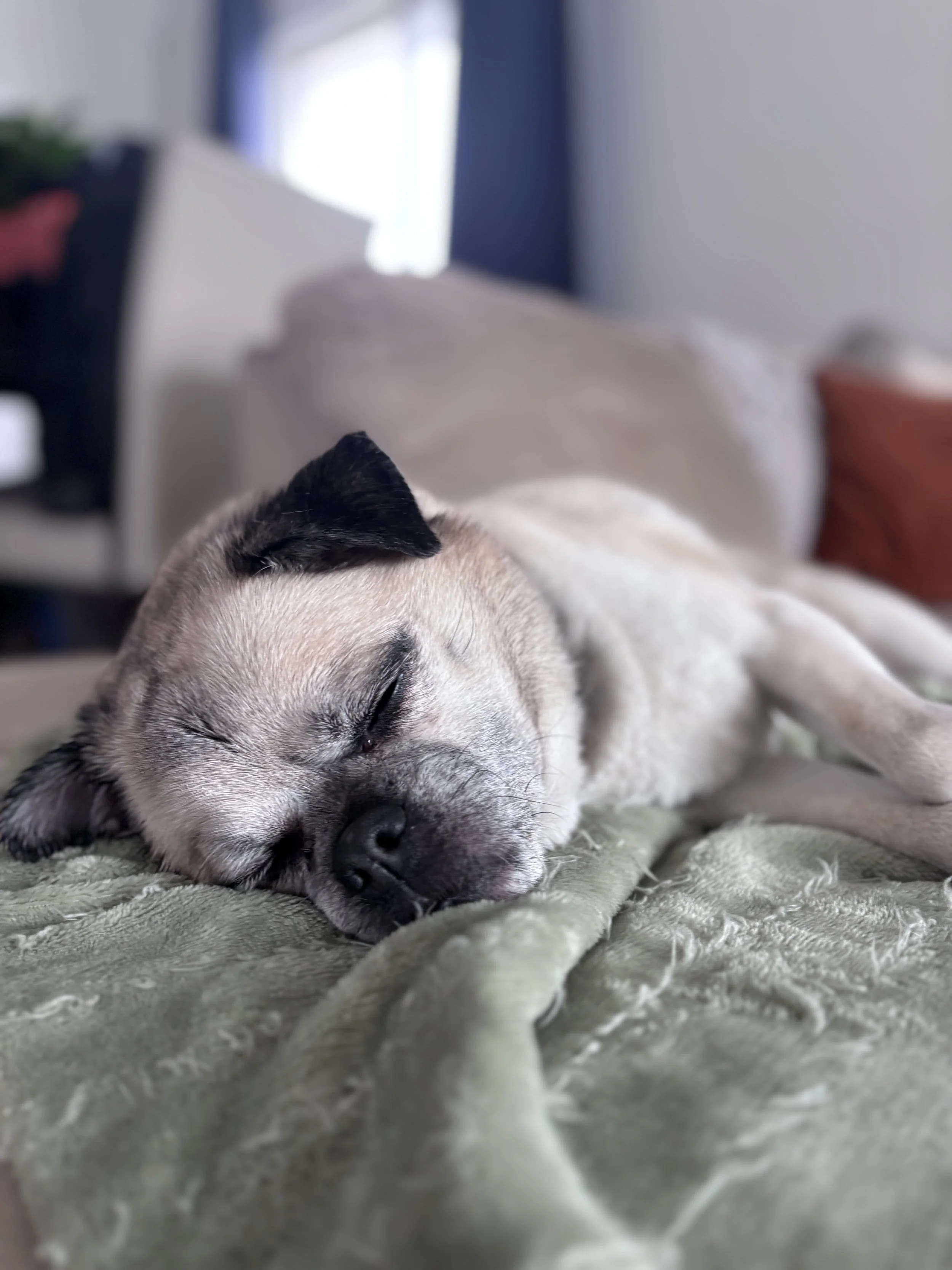 IMG_1565 - Alexandra Kealey.jpeg