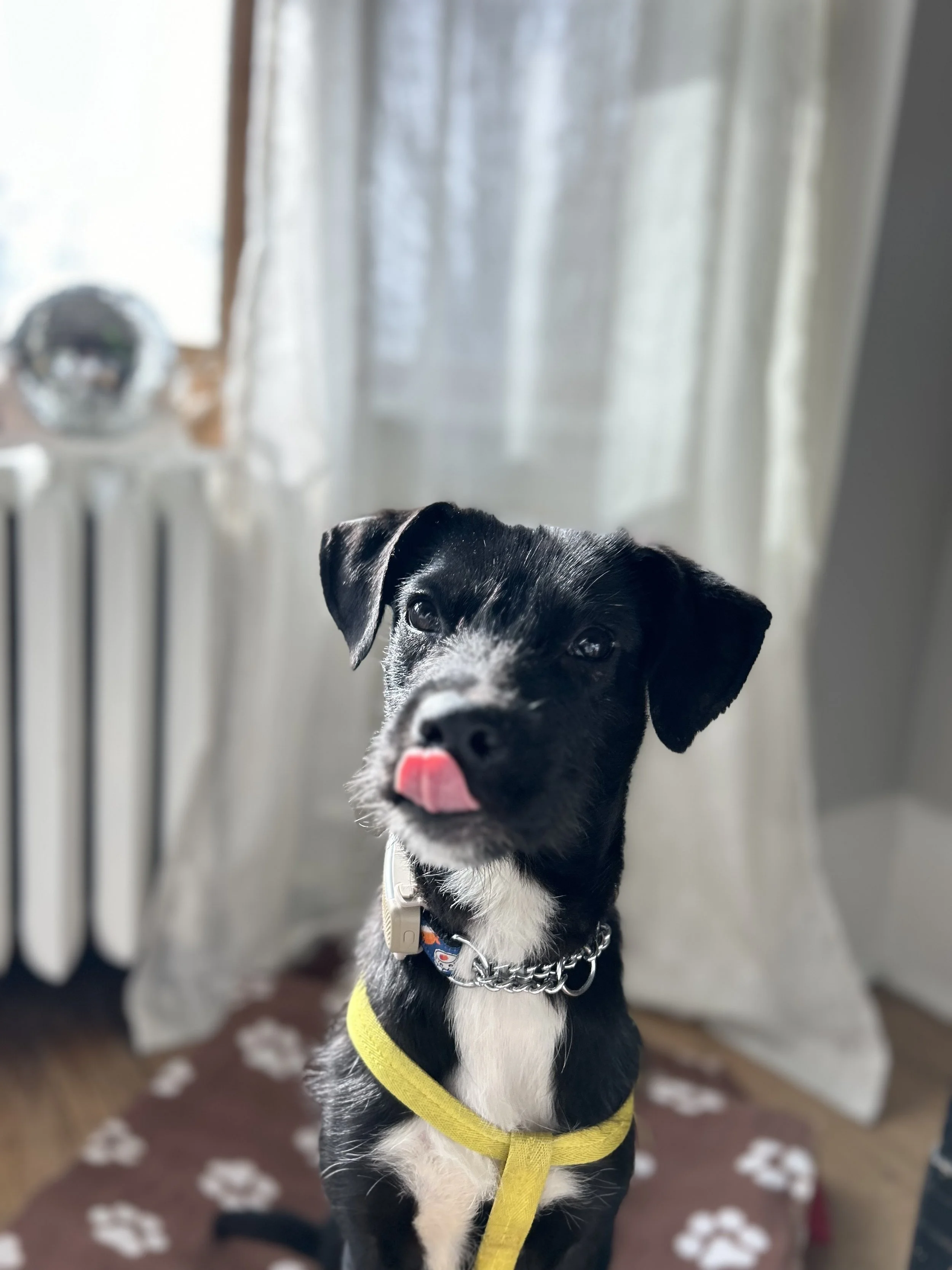 IMG_2798 - Adiya.jpg