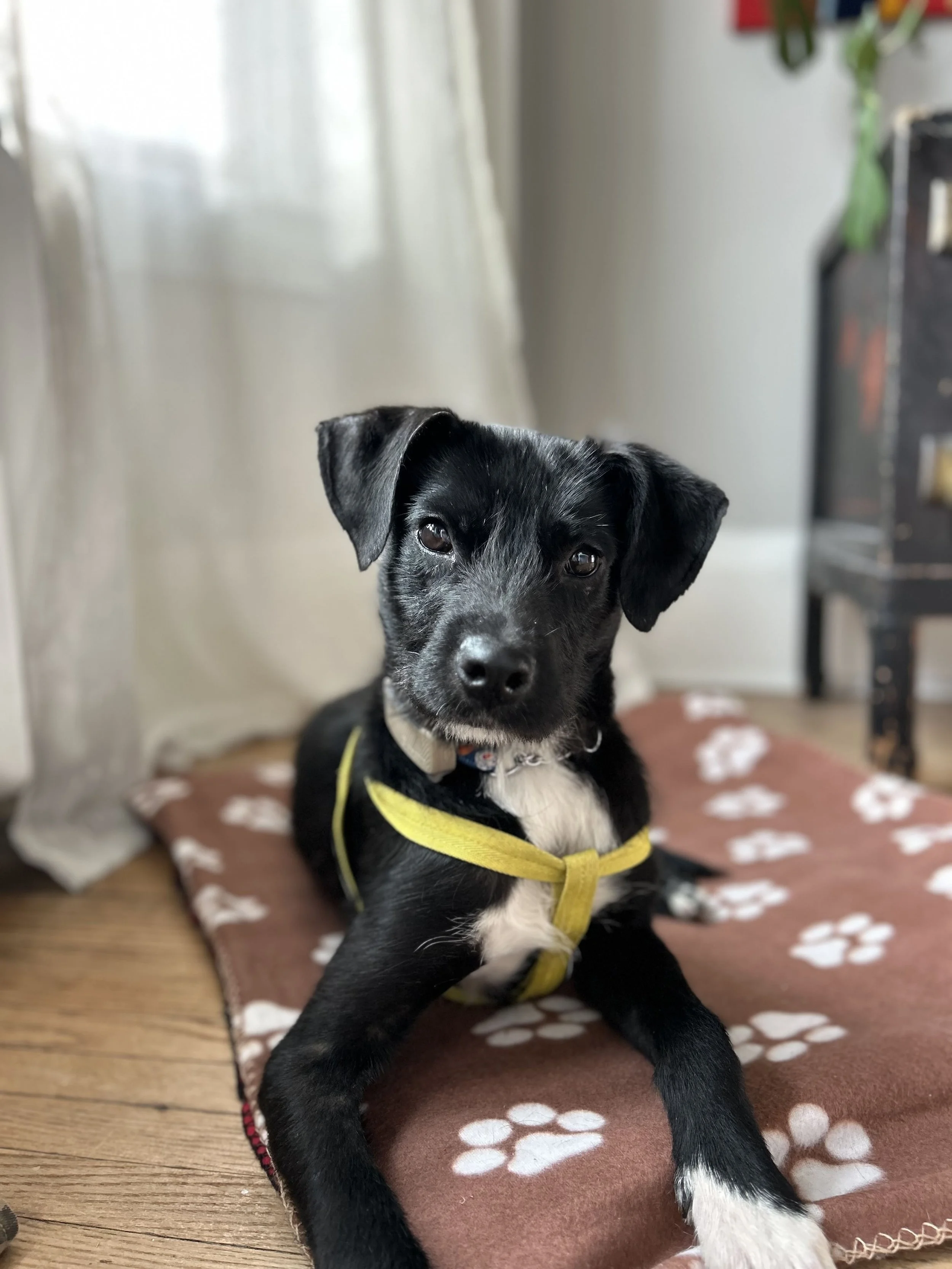 IMG_2809 - Adiya.jpg