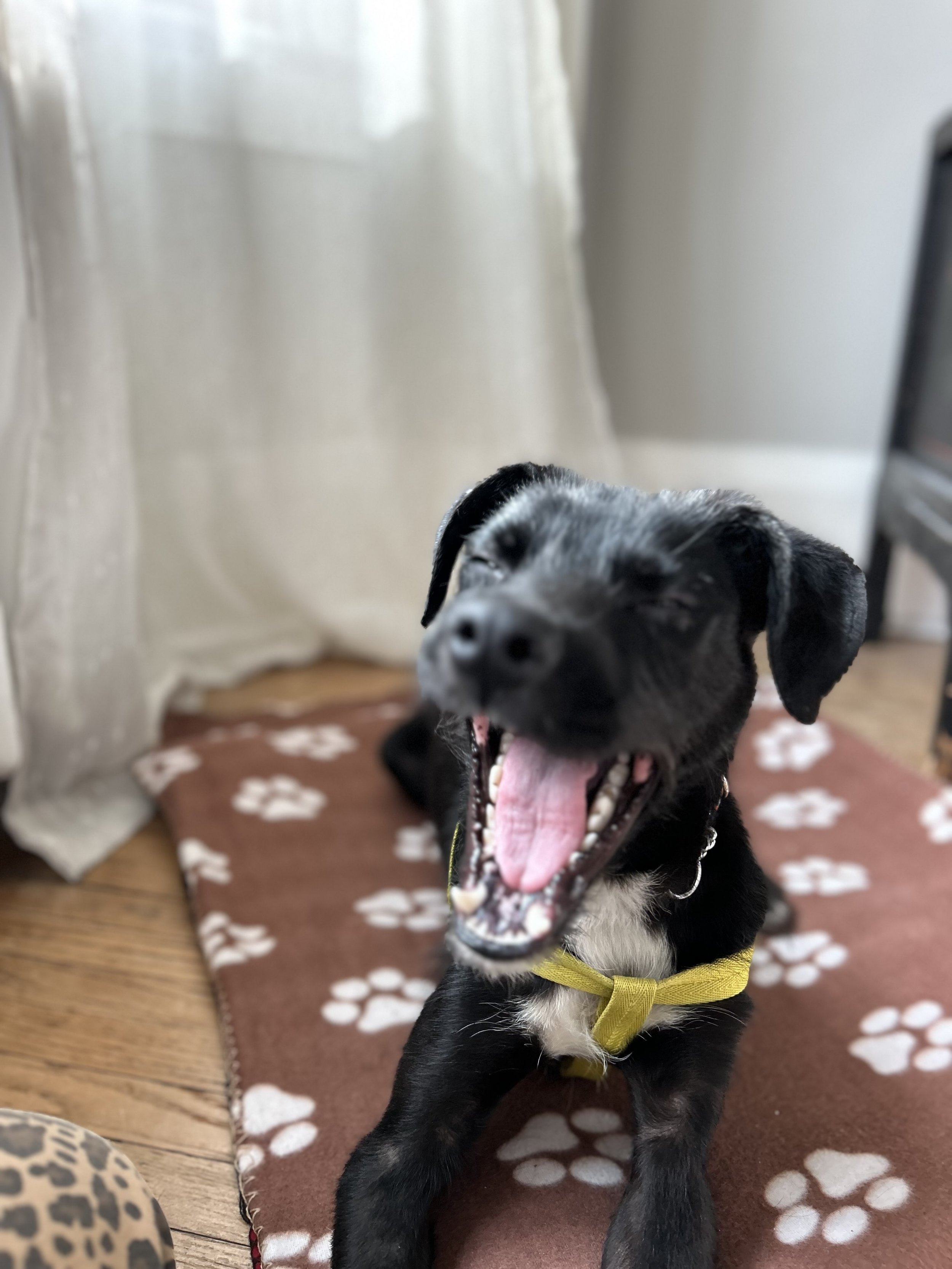 IMG_2818 - Adiya.jpg