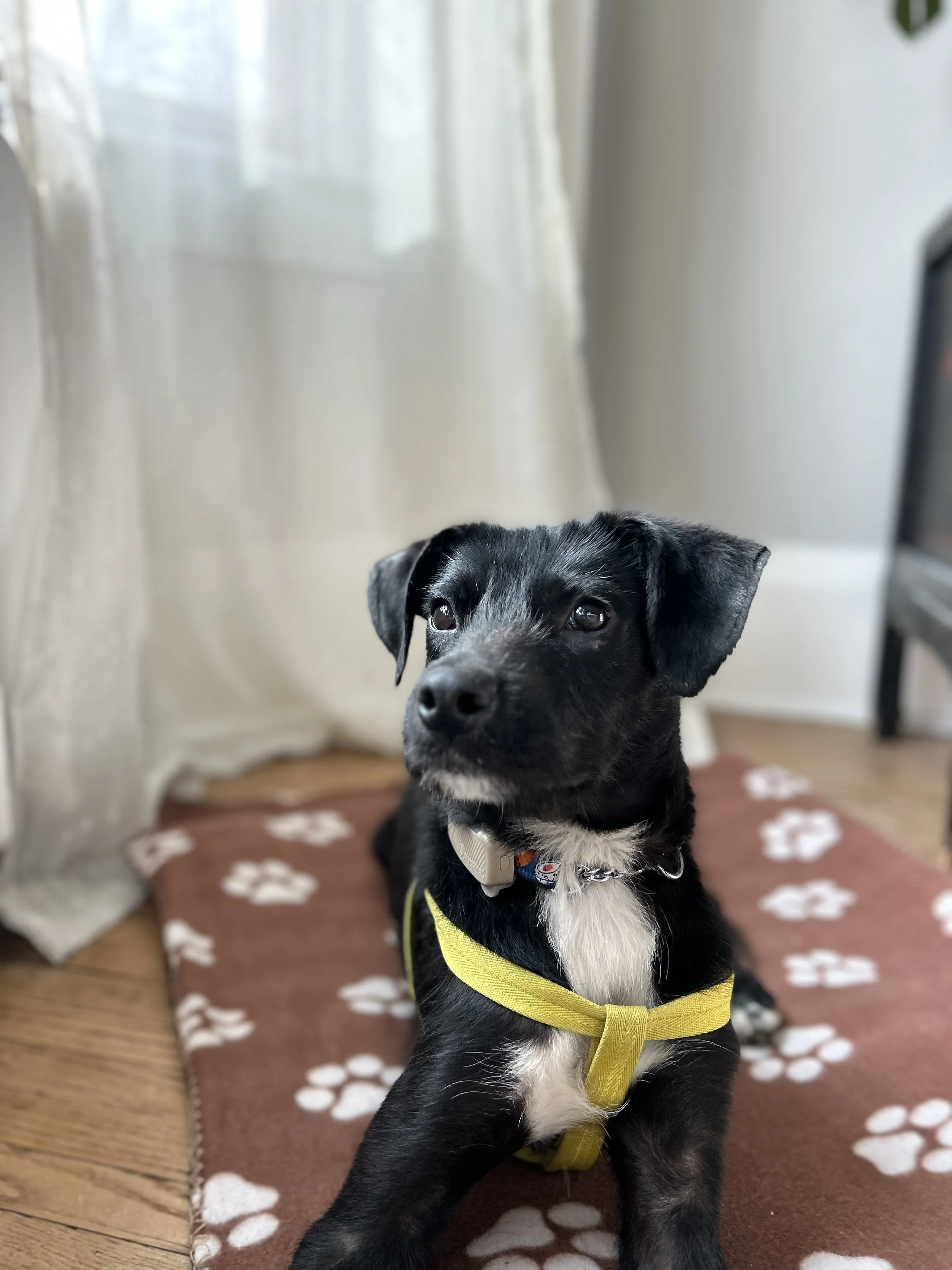 IMG_2820 - Adiya.jpg