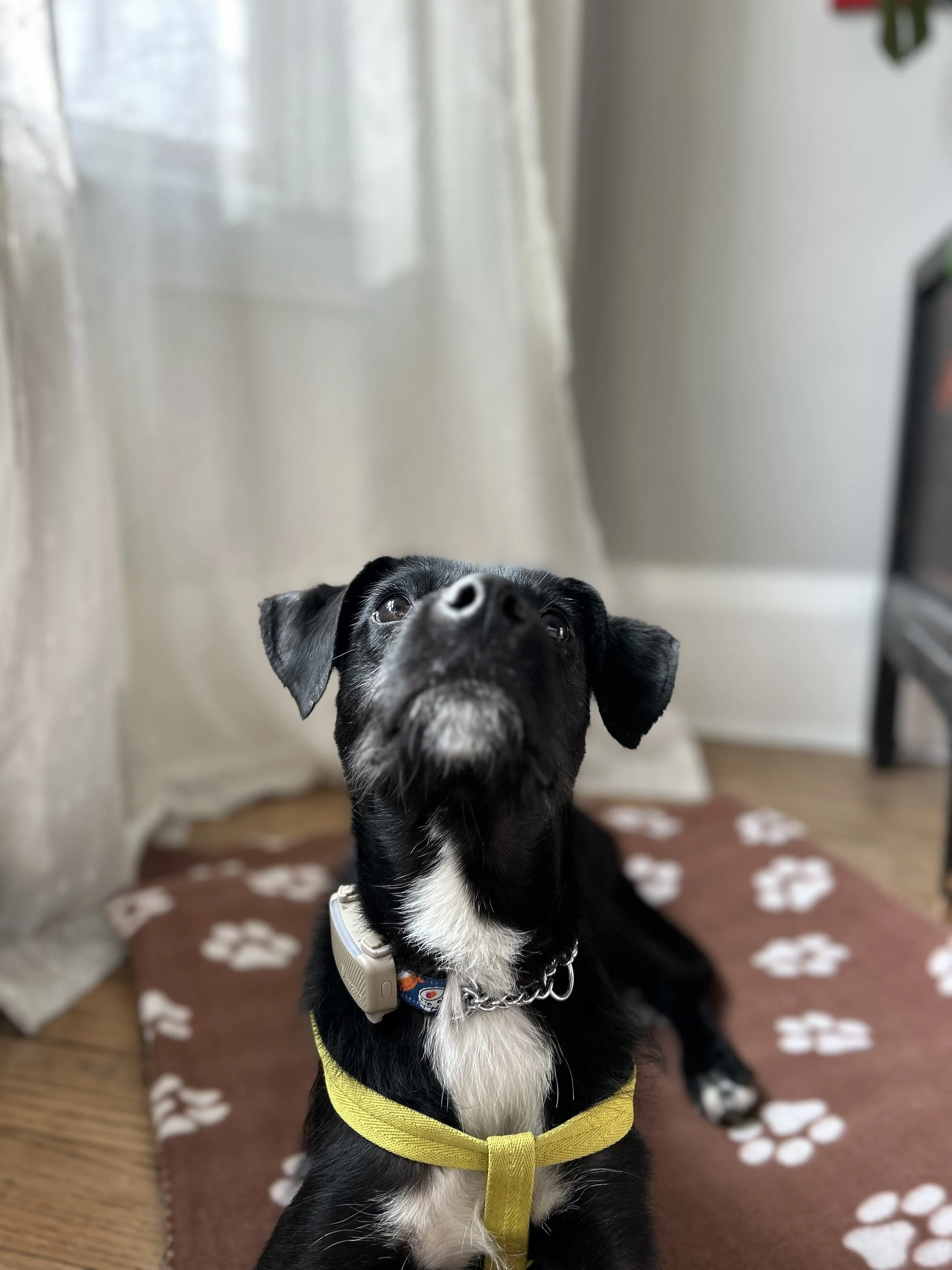 IMG_2828 - Adiya.jpg